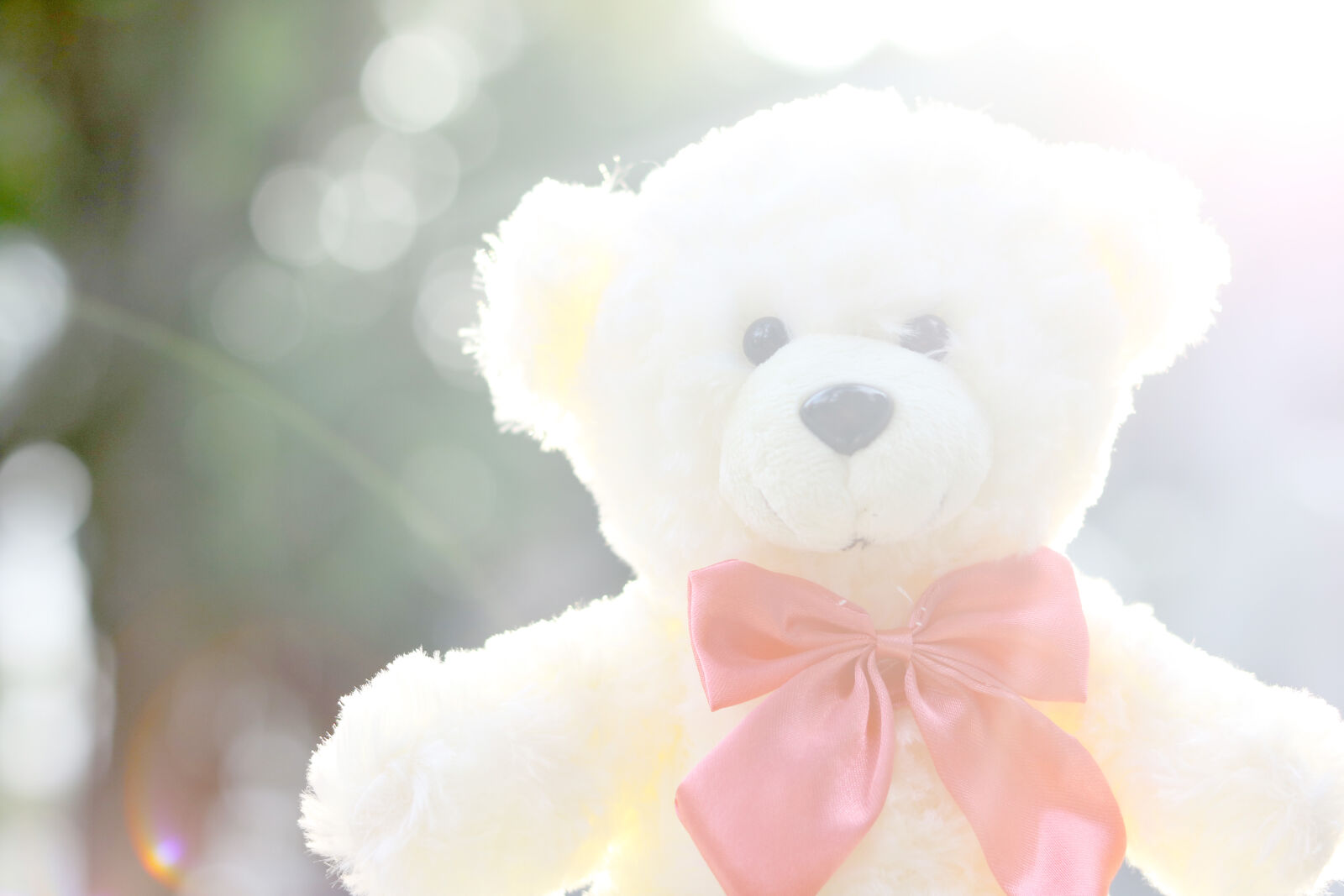 Canon EOS 760D (EOS Rebel T6s / EOS 8000D) + Canon EF 50mm F1.8 STM sample photo. Bear, doll photography