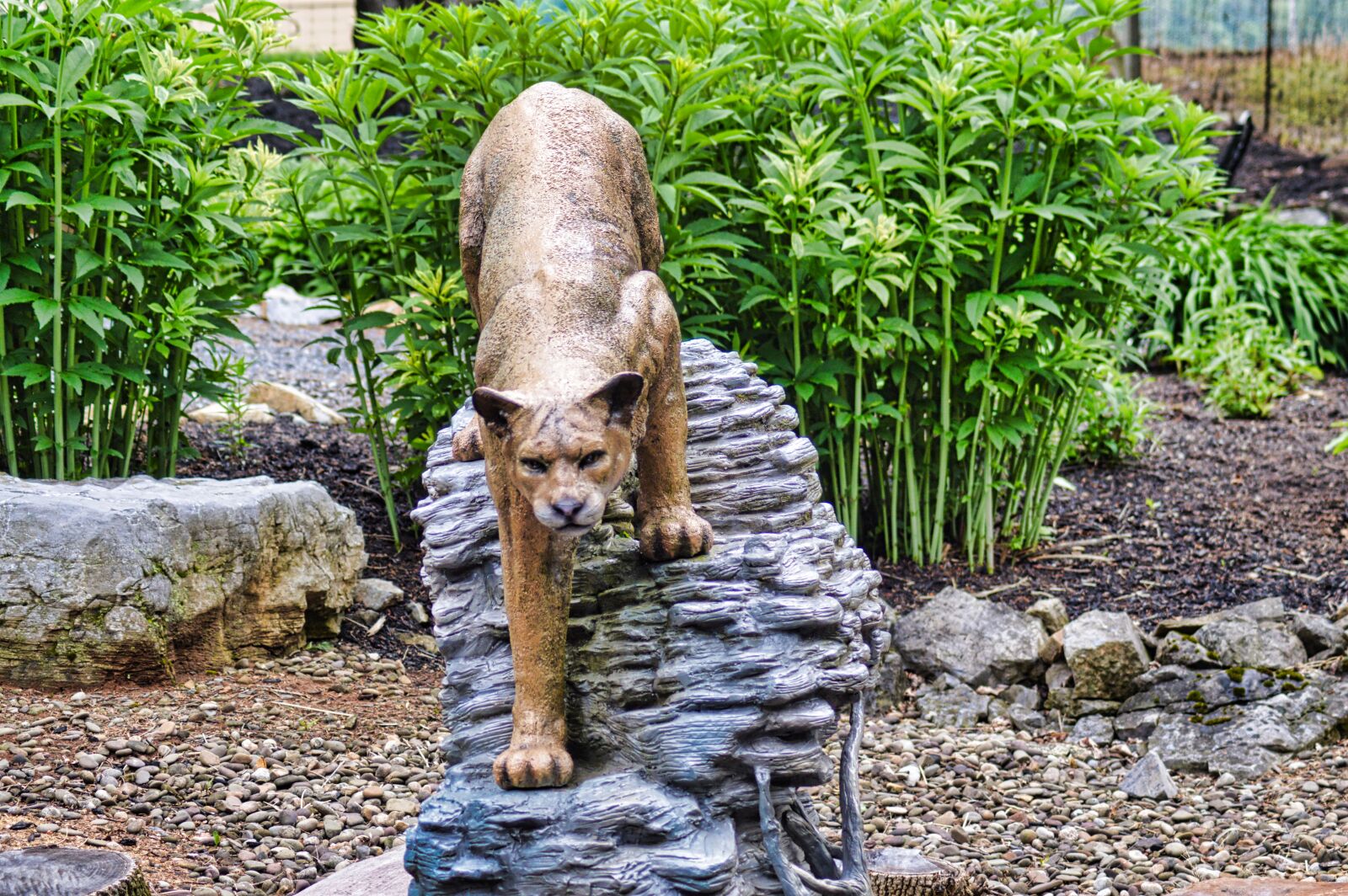Nikon D3200 sample photo. Mountain lion sculpture, art photography
