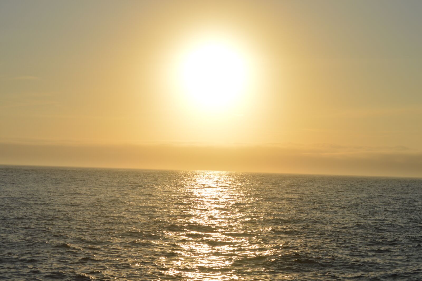Nikon D3200 sample photo. Serenity, future, nature photography