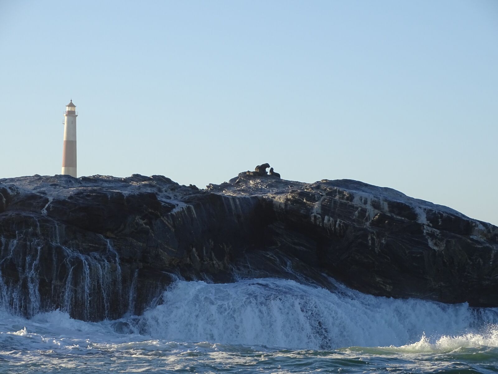Sony Cyber-shot DSC-HX400V sample photo. Seals, sea, wave photography