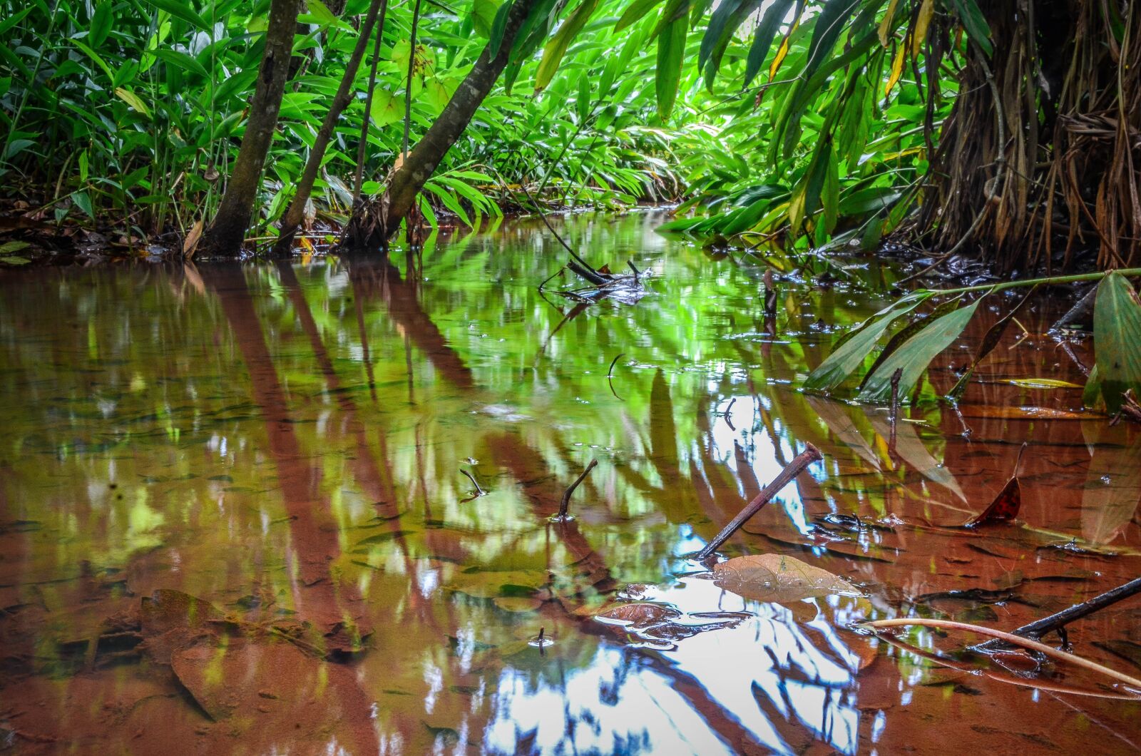 Nikon D7000 sample photo. Natural, nature, agua photography