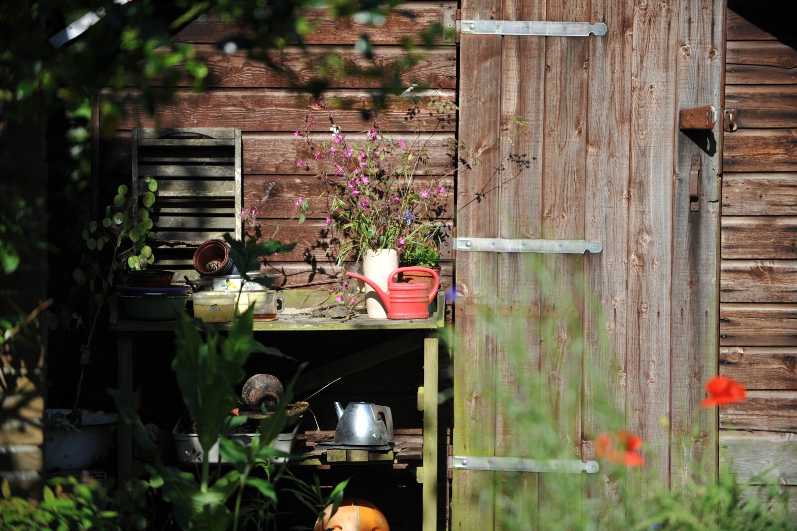 Nikon D700 sample photo. Garden, shed, summer photography