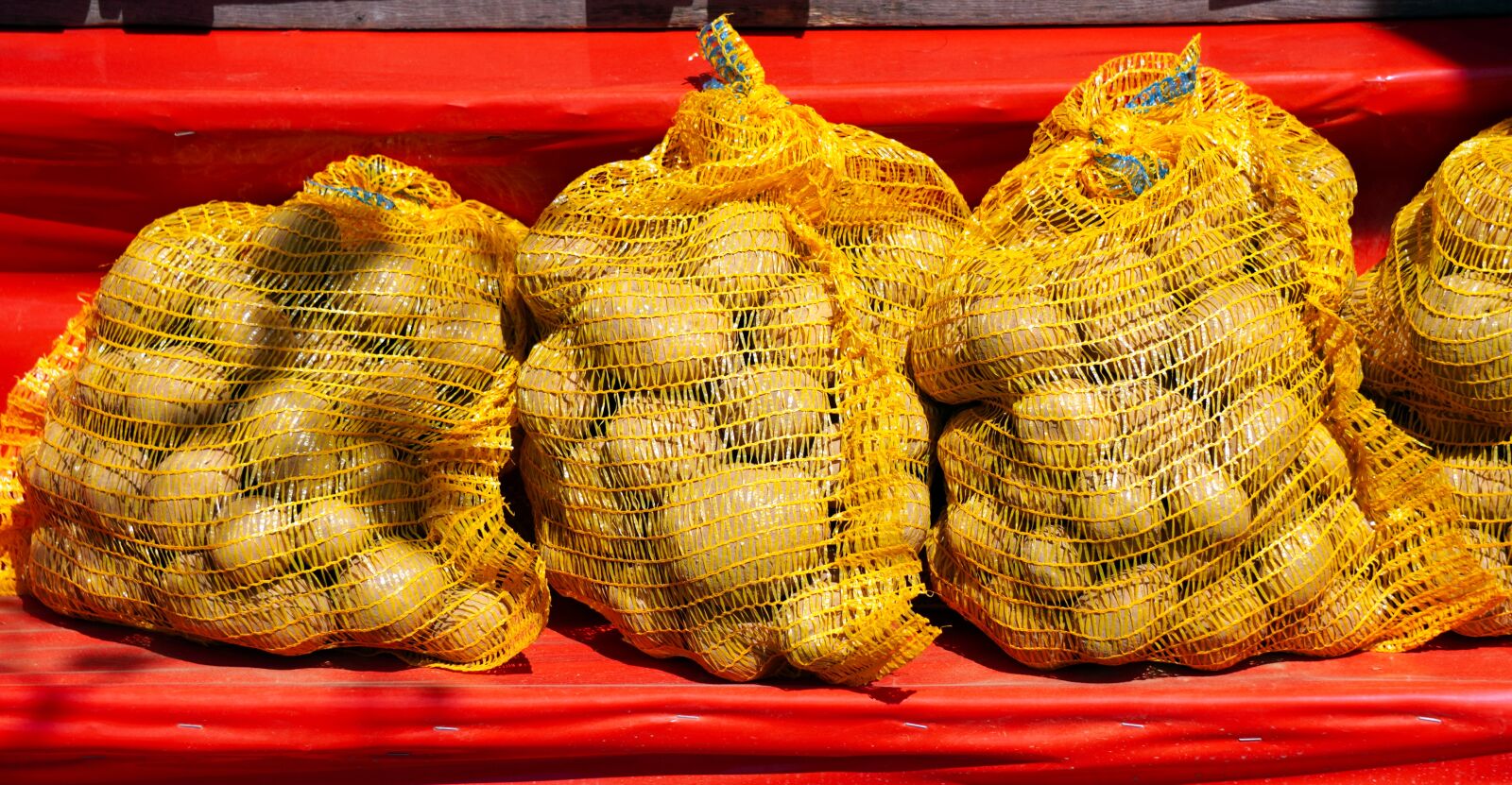 Sony a6400 + Sony E 55-210mm F4.5-6.3 OSS sample photo. Potatoes, harvest, erdfrucht photography