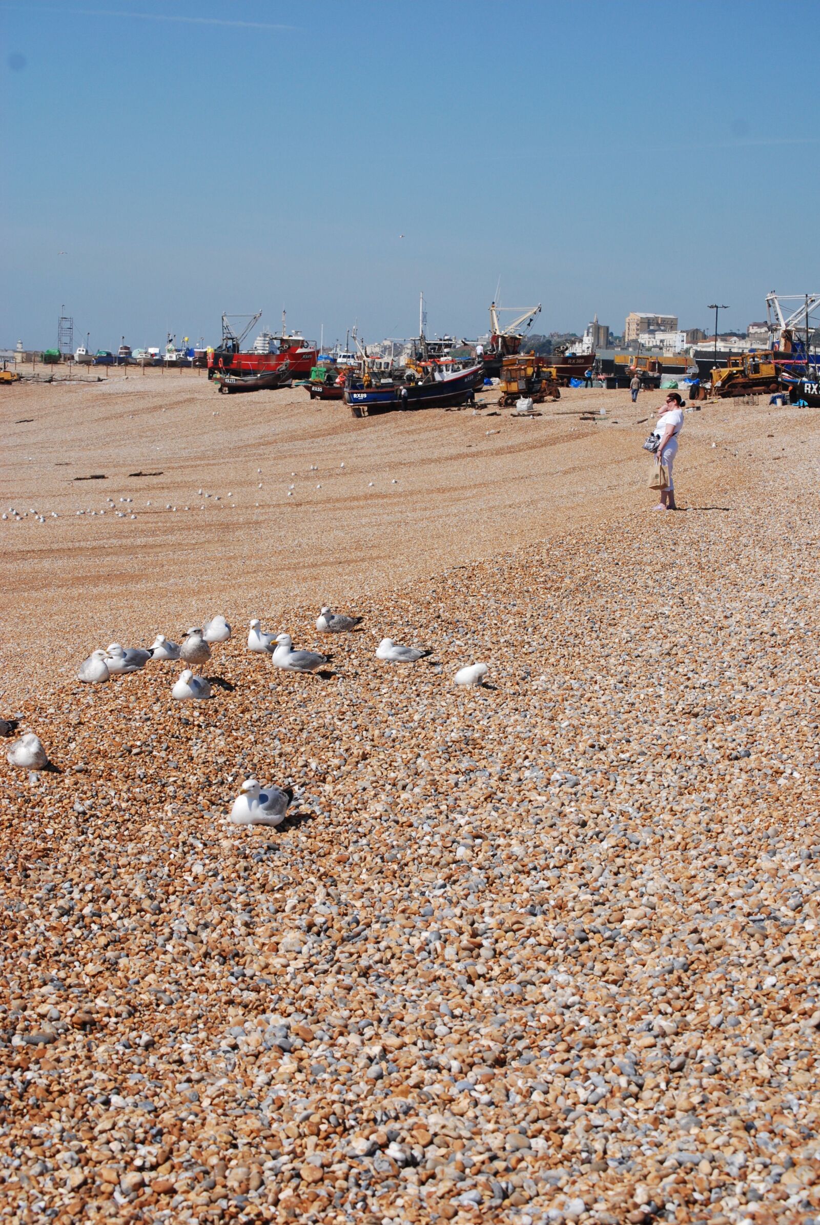 Nikon D80 sample photo. Gulls, pebbles, fishing boats photography