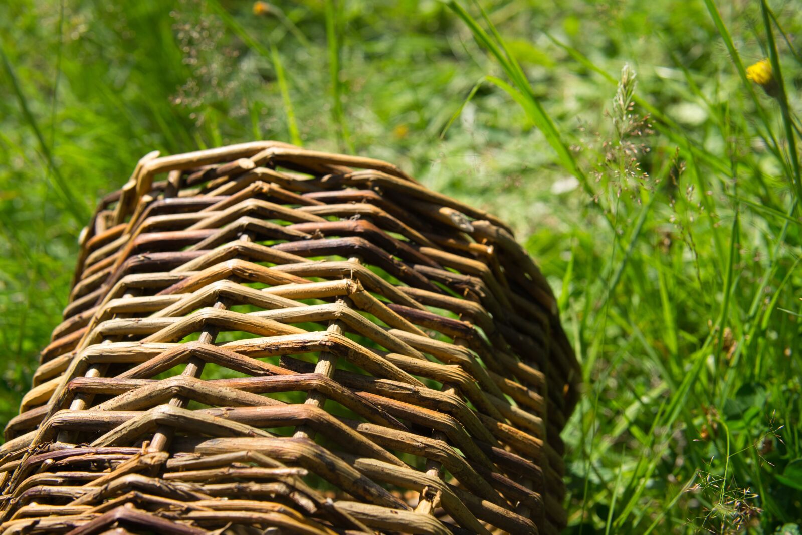 Sony a6000 + 30mm F1.4 DC DN | Contemporary 016 sample photo. Basket, wooden, grass photography