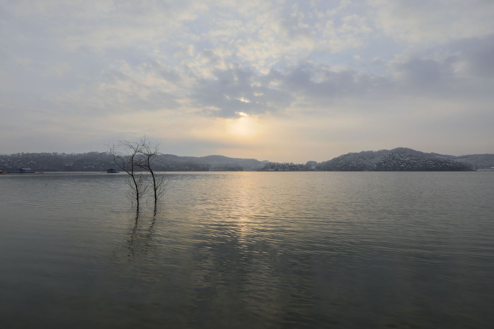 Canon EOS 5D Mark IV + Canon EF 16-35mm F2.8L II USM sample photo. Lake, tree, tree in photography
