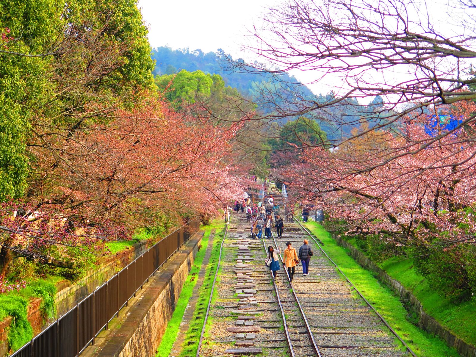 Canon PowerShot G16 sample photo. Japan, cherry blossom season photography