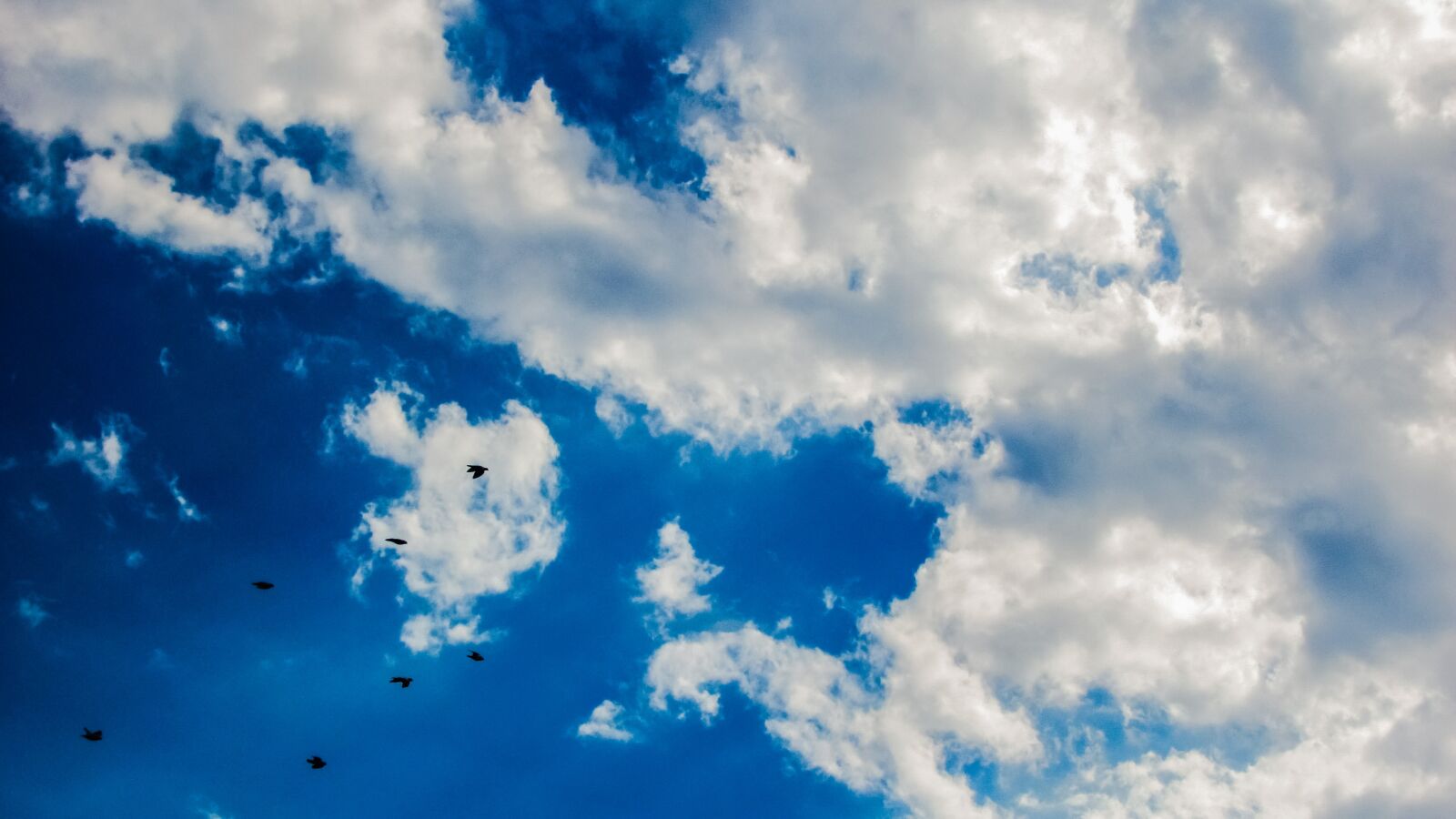 Canon PowerShot SX400 IS sample photo. Sky, clouds, birds photography