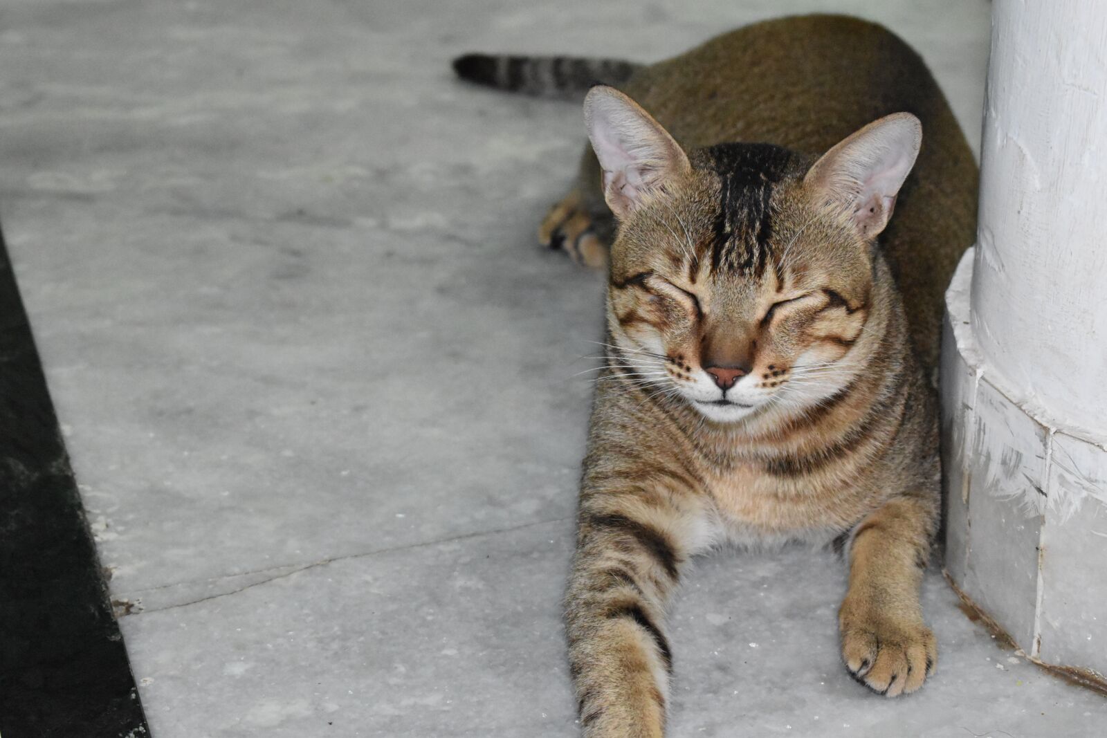 Nikon D5600 sample photo. You, are, sad photography