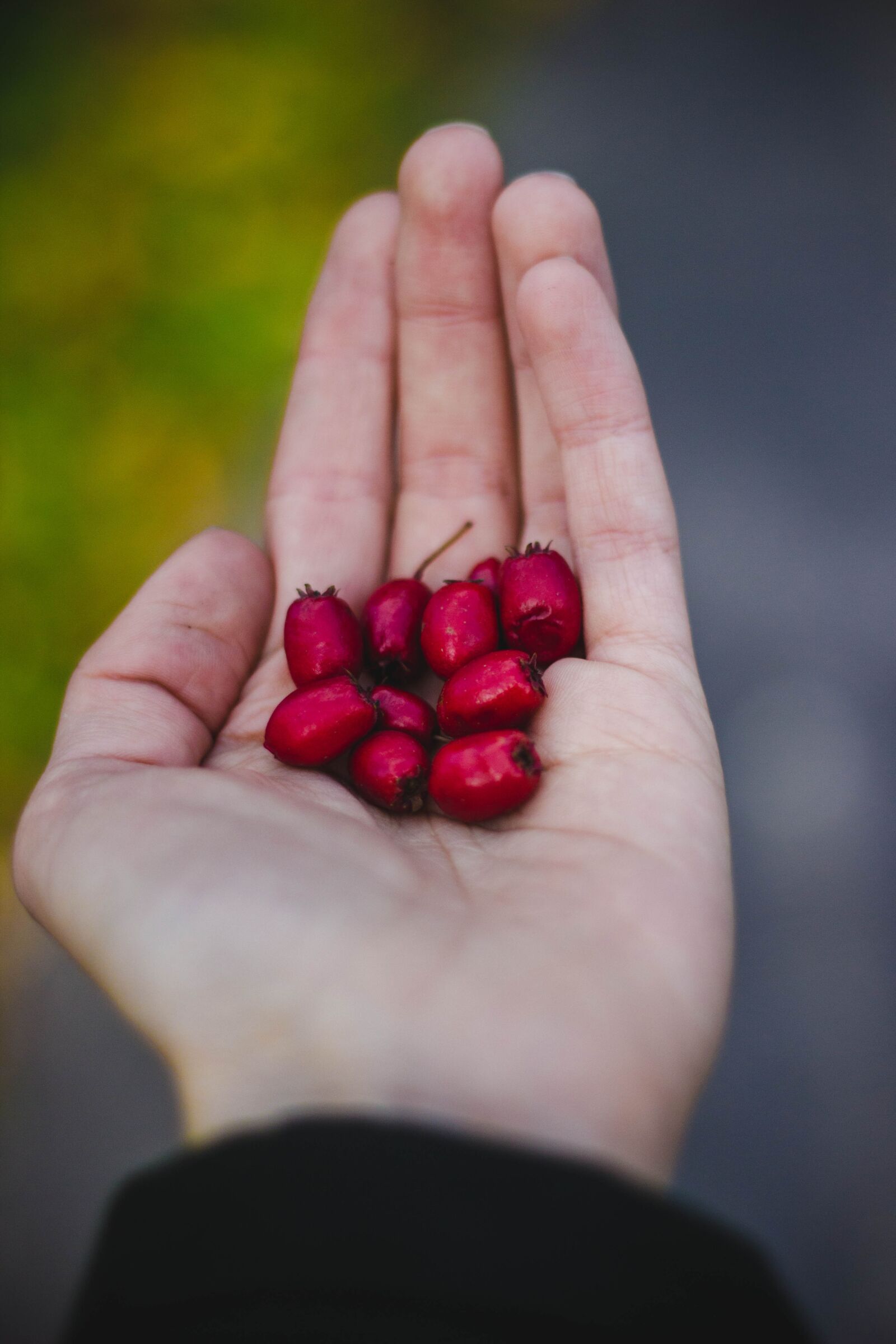 Canon EOS 600D (Rebel EOS T3i / EOS Kiss X5) + Canon EF 50mm F1.8 II sample photo. Red, fruit, hand photography