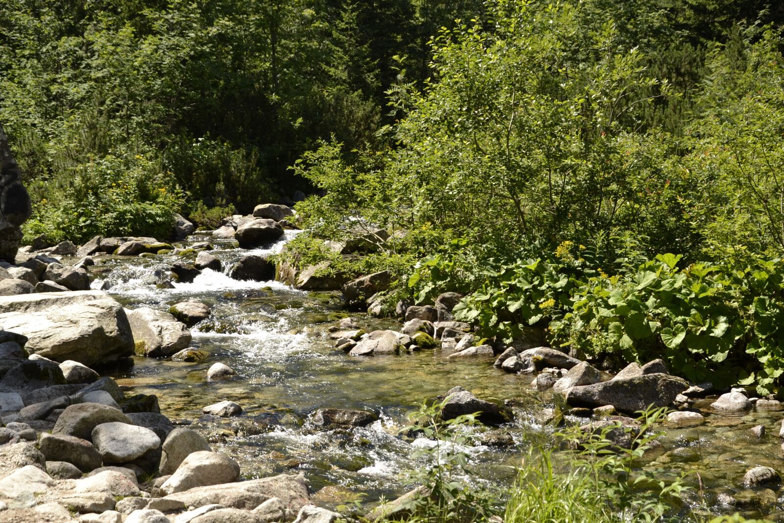 Nikon D3100 sample photo. Mountains, buried, valley of photography