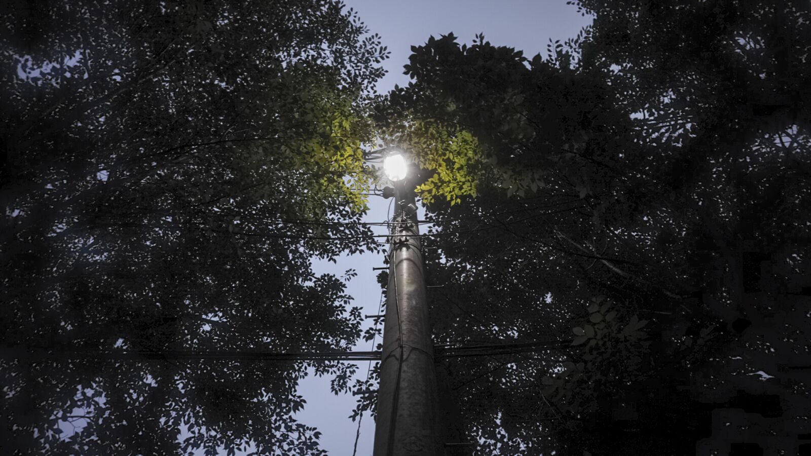 Sony a6400 sample photo. Pole, street lights, frontline photography