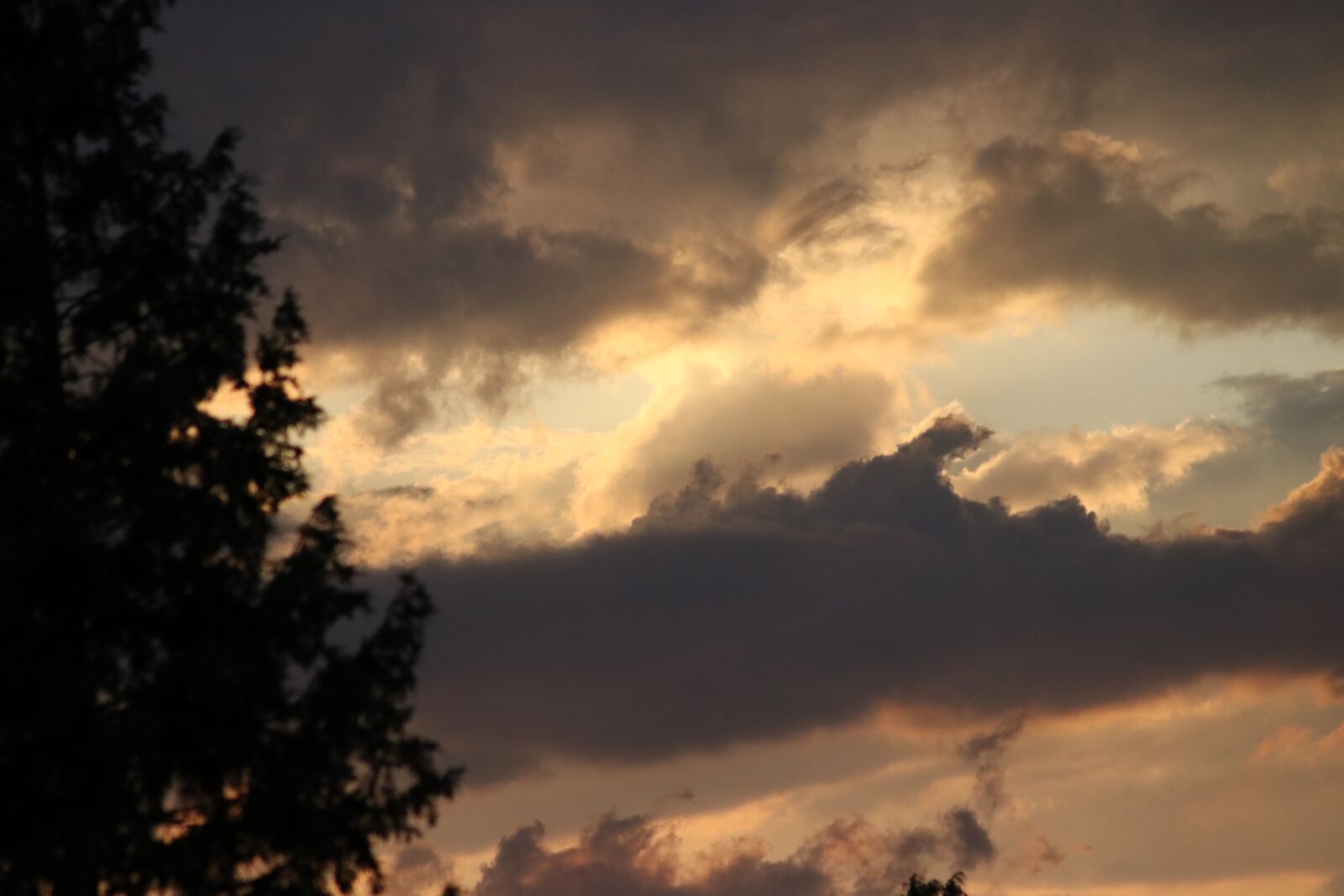 Canon EOS 80D sample photo. Herbst, sturm, himmel photography