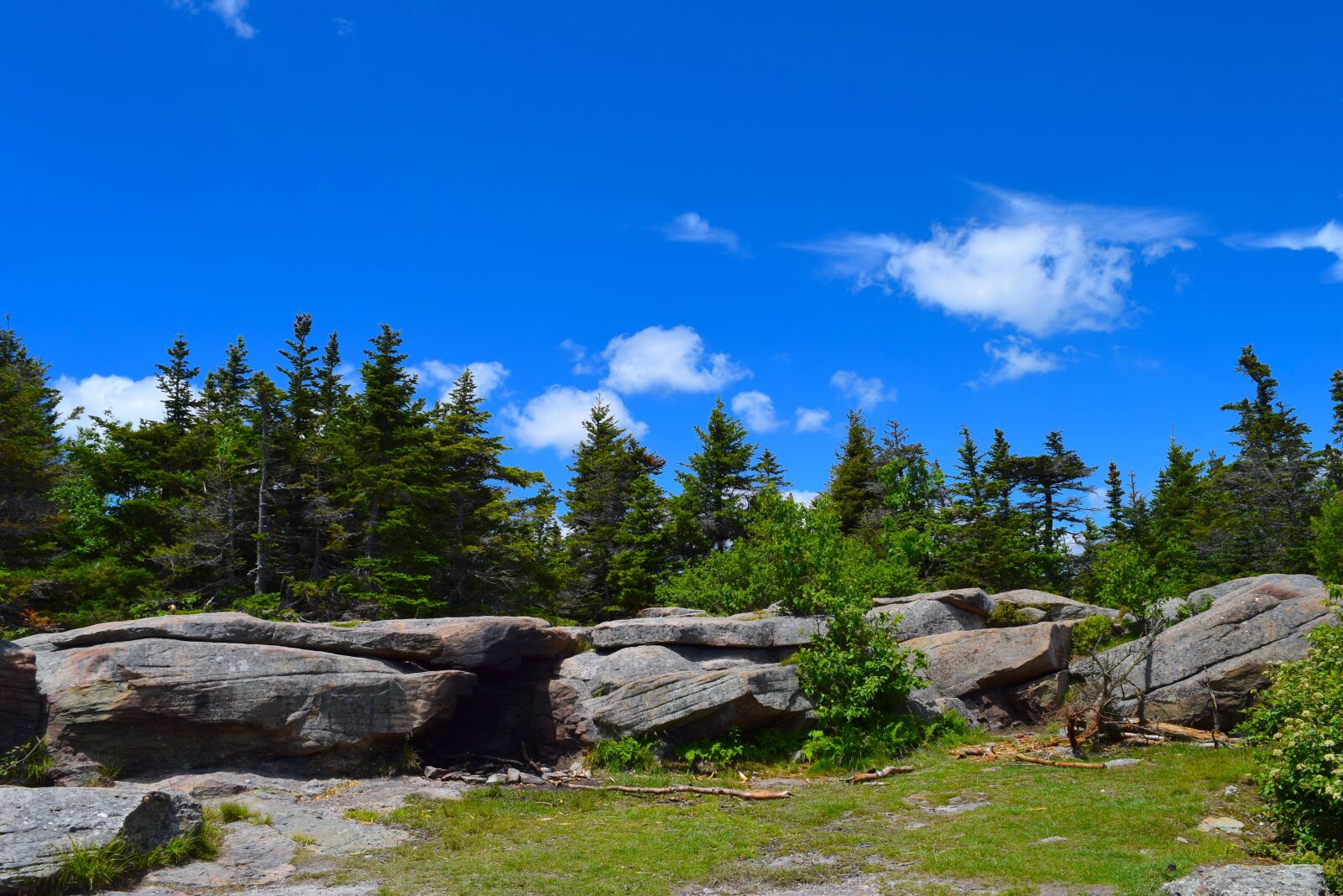 Nikon D3300 sample photo. Mountainside, clouds, trees photography