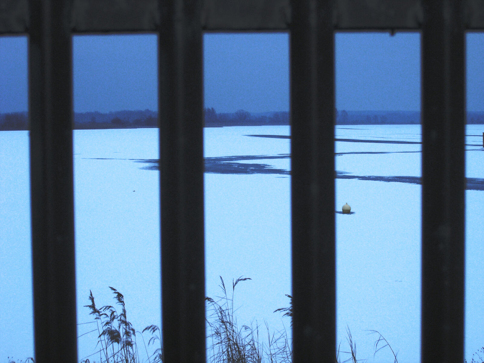 Olympus C5060WZ sample photo. Fence, frozen, lake, winter photography