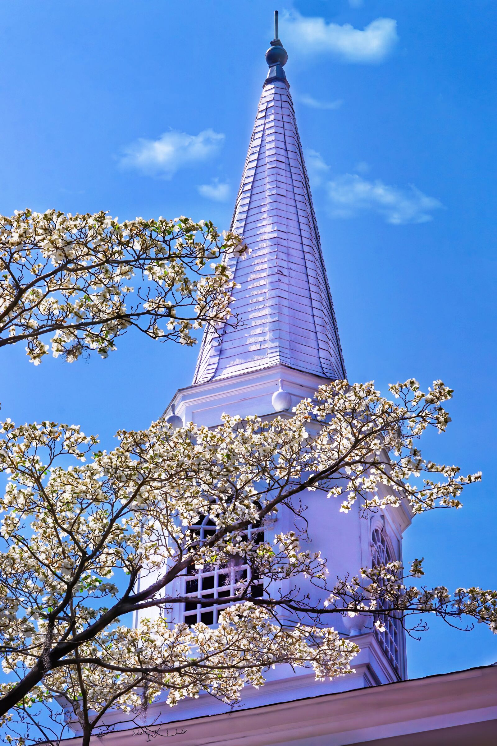 Sony FE 50mm F2.8 Macro sample photo. Church, steeple, spire photography