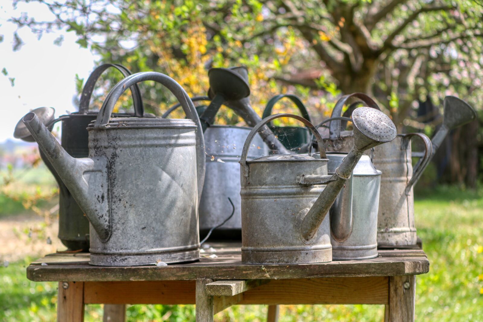 Canon EOS 80D + Canon EF-S 55-250mm F4-5.6 IS II sample photo. Watering can, tin, metal photography