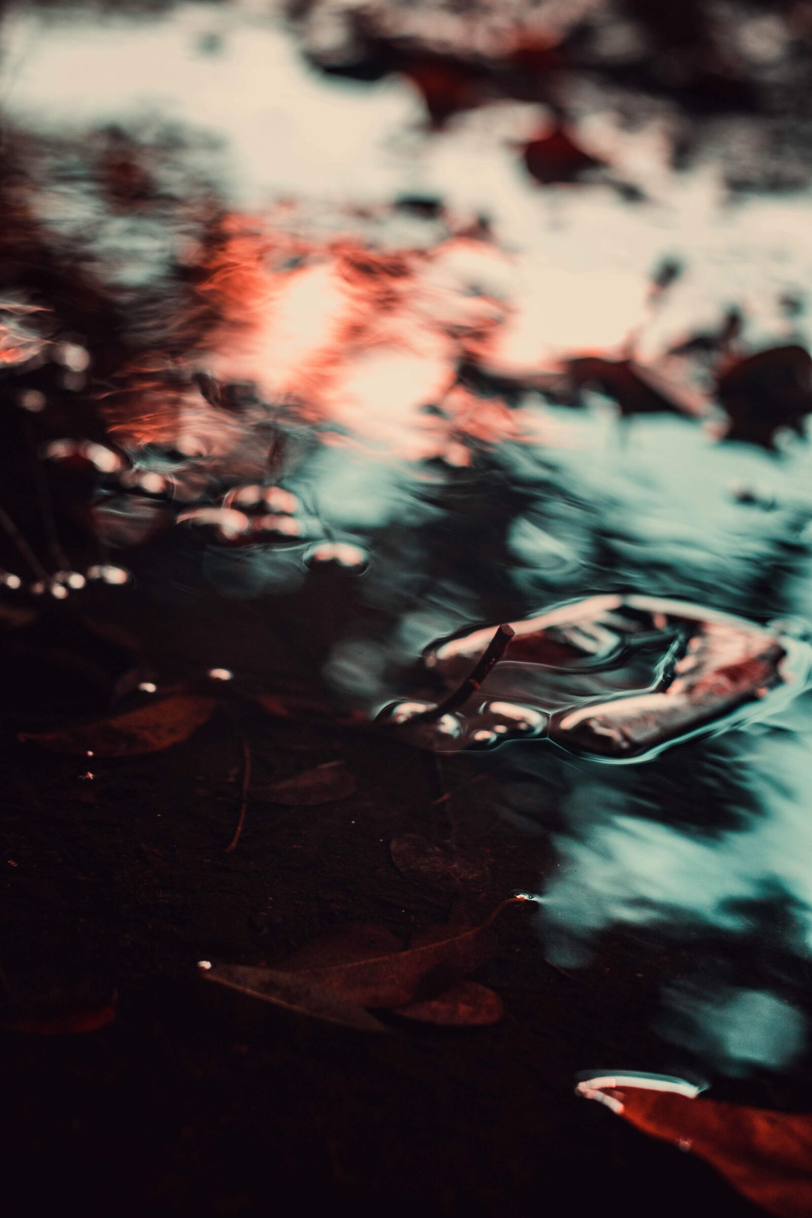 Canon EOS 80D sample photo. Rain, winter, water photography