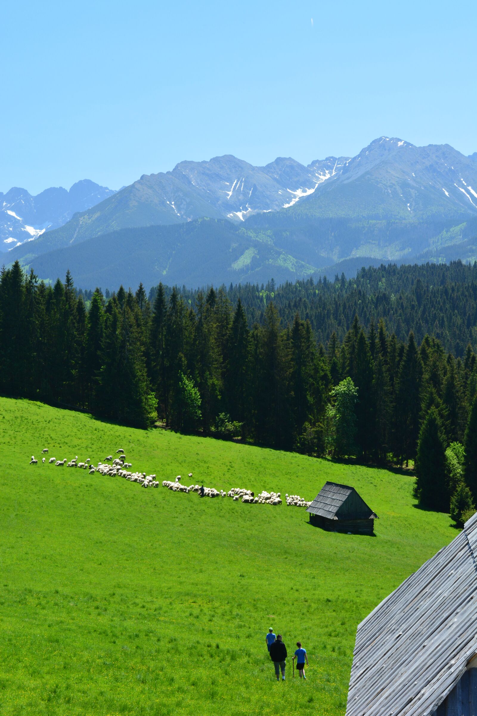 Nikon D5200 sample photo. Tatry, buried, top view photography