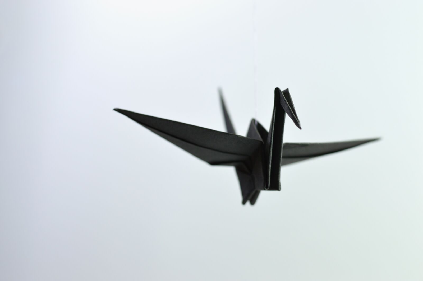 Nikon D3200 sample photo. Origami, paper, bent photography