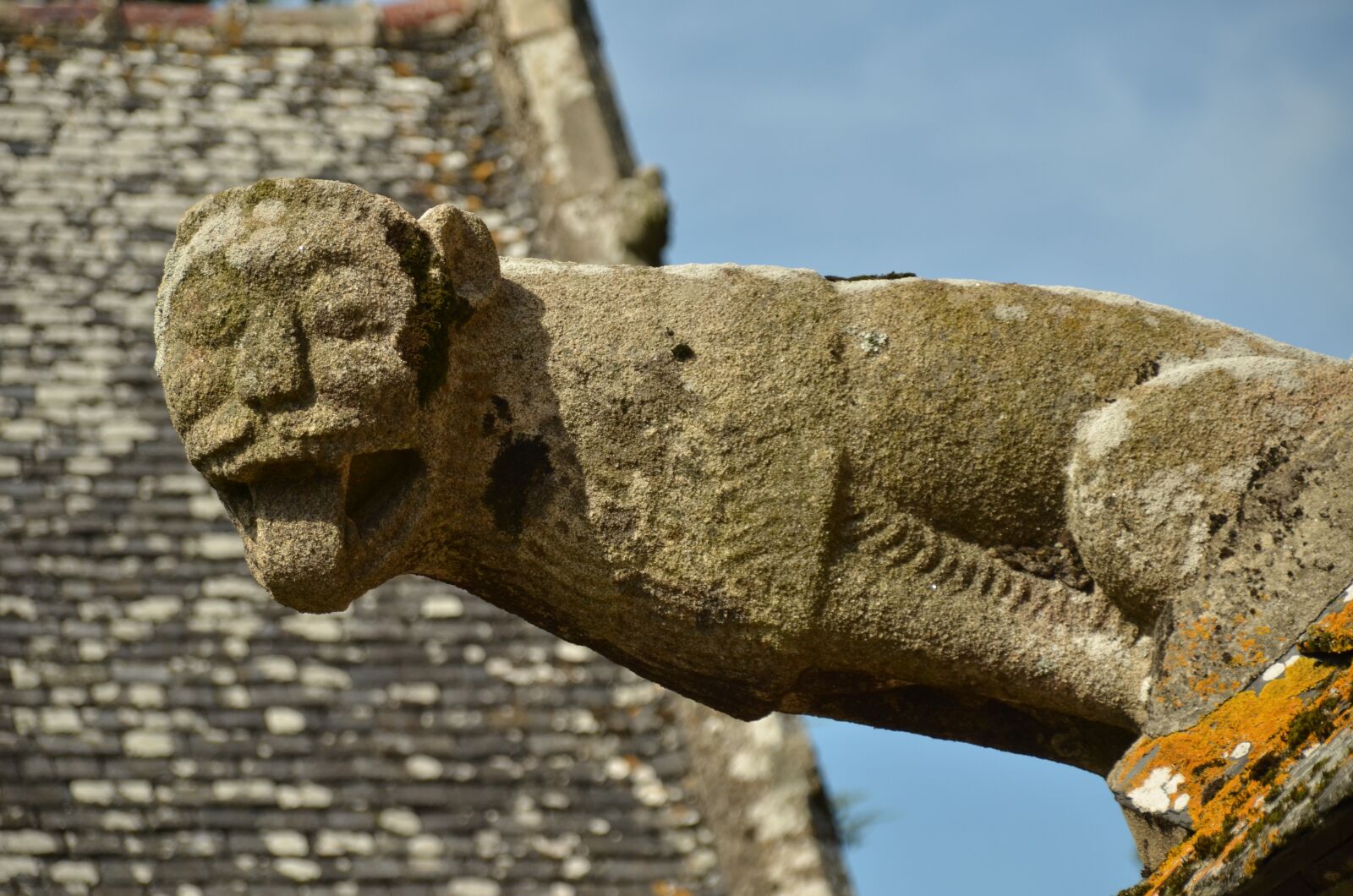 Nikon D7000 sample photo. Image, gargouille, gargoyle photography
