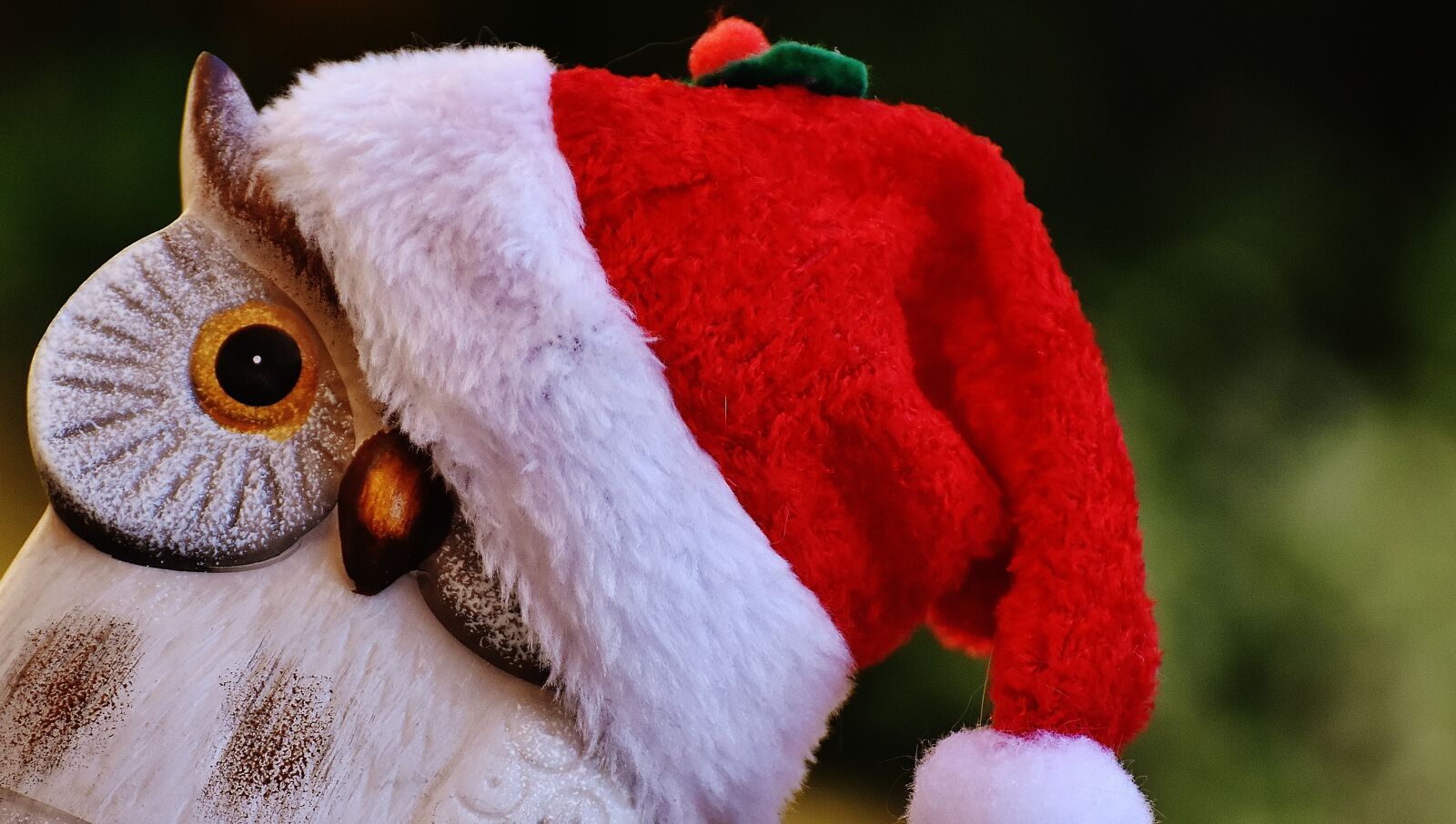 Nikon D7200 sample photo. Christmas, owl, santa hat photography