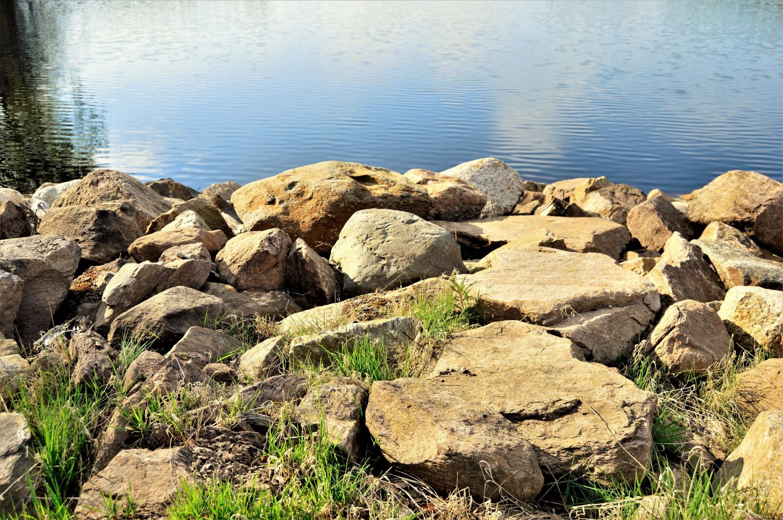 Nikon D3200 sample photo. Daytime, lake, outdoors, outside photography