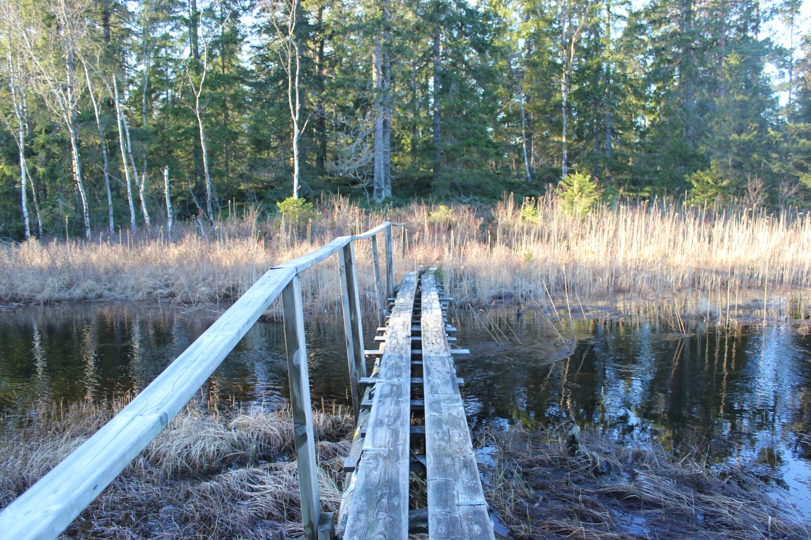 Canon EOS 550D (EOS Rebel T2i / EOS Kiss X4) sample photo. Wander, outdoor, footbridge photography