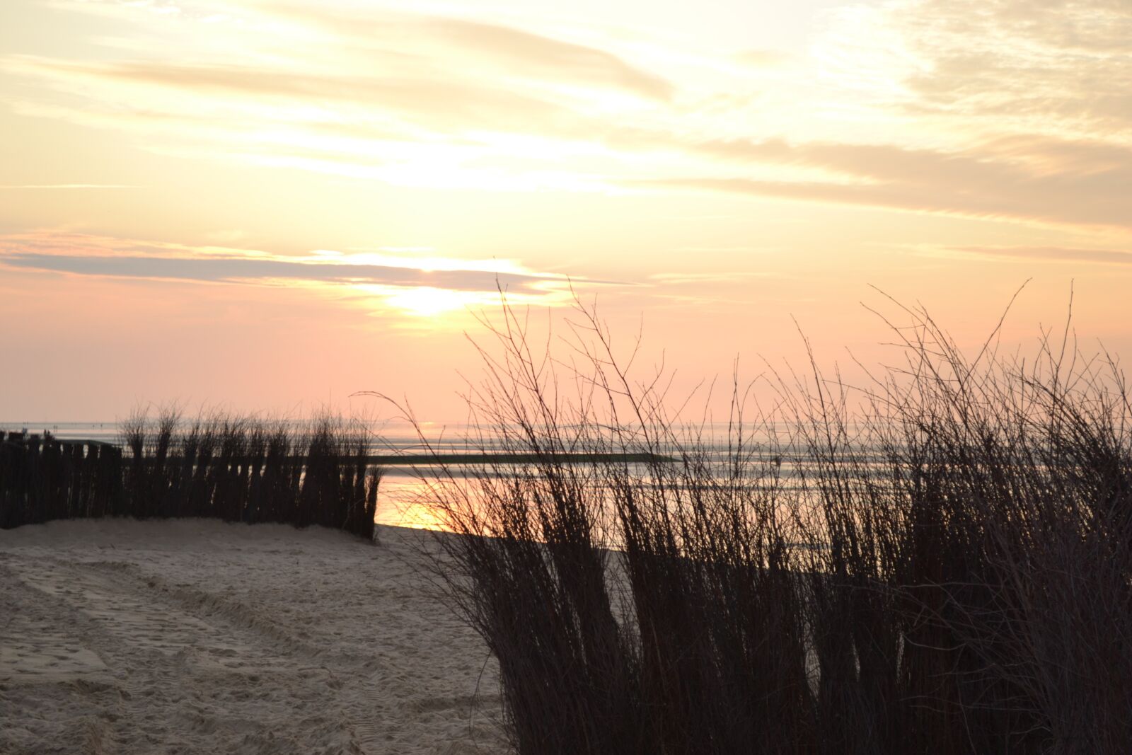 Nikon D3100 sample photo. Beach, evening, sunset photography