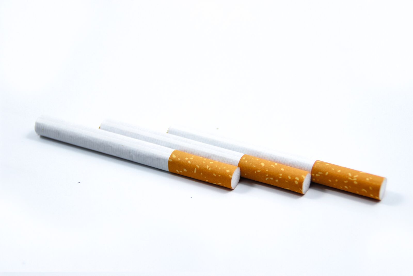 Canon EOS 600D (Rebel EOS T3i / EOS Kiss X5) sample photo. Tobacco, cigarette, white photography