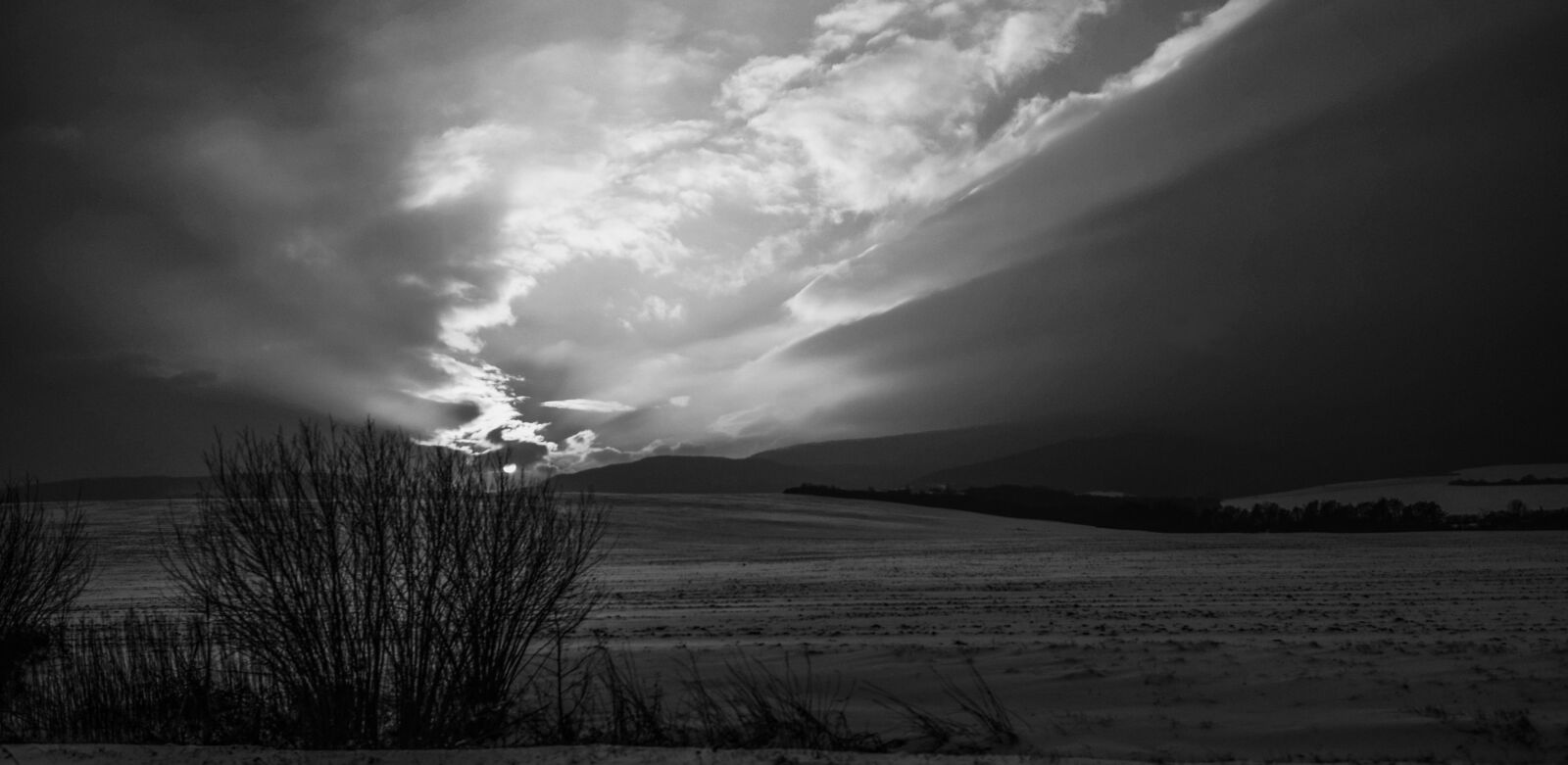 Nikon D5300 sample photo. Winter, shrubs, field photography