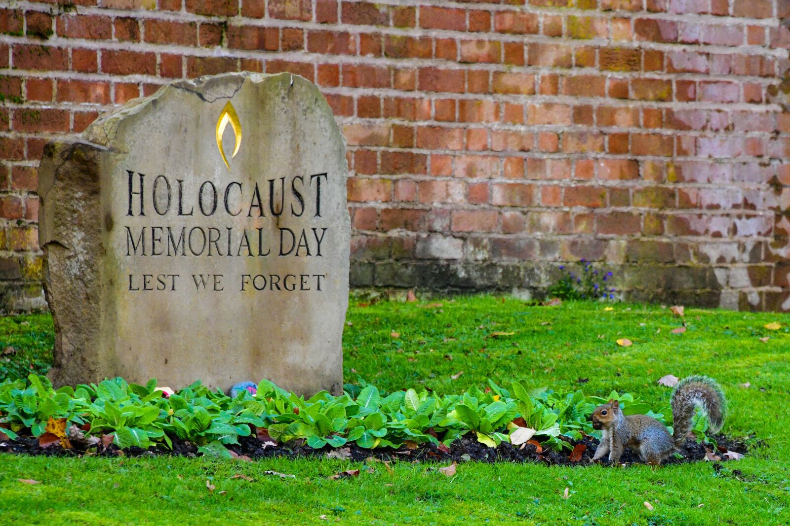 Nikon D850 sample photo. Cemetery, head stone, squirrel photography