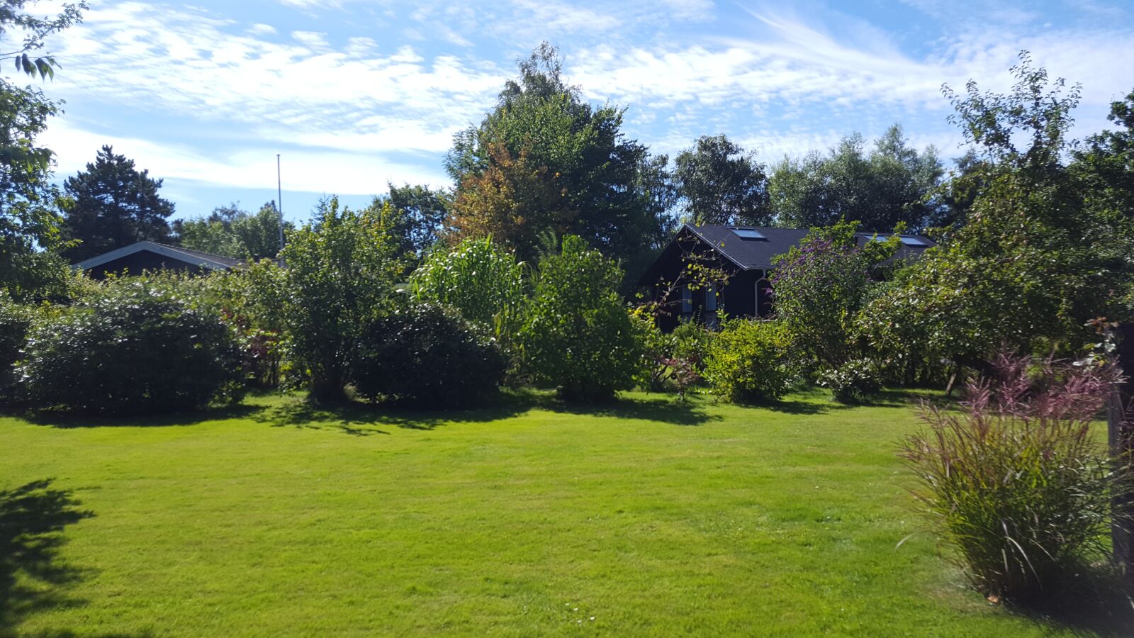 Samsung Galaxy S6 sample photo. Summer, grass, sol photography