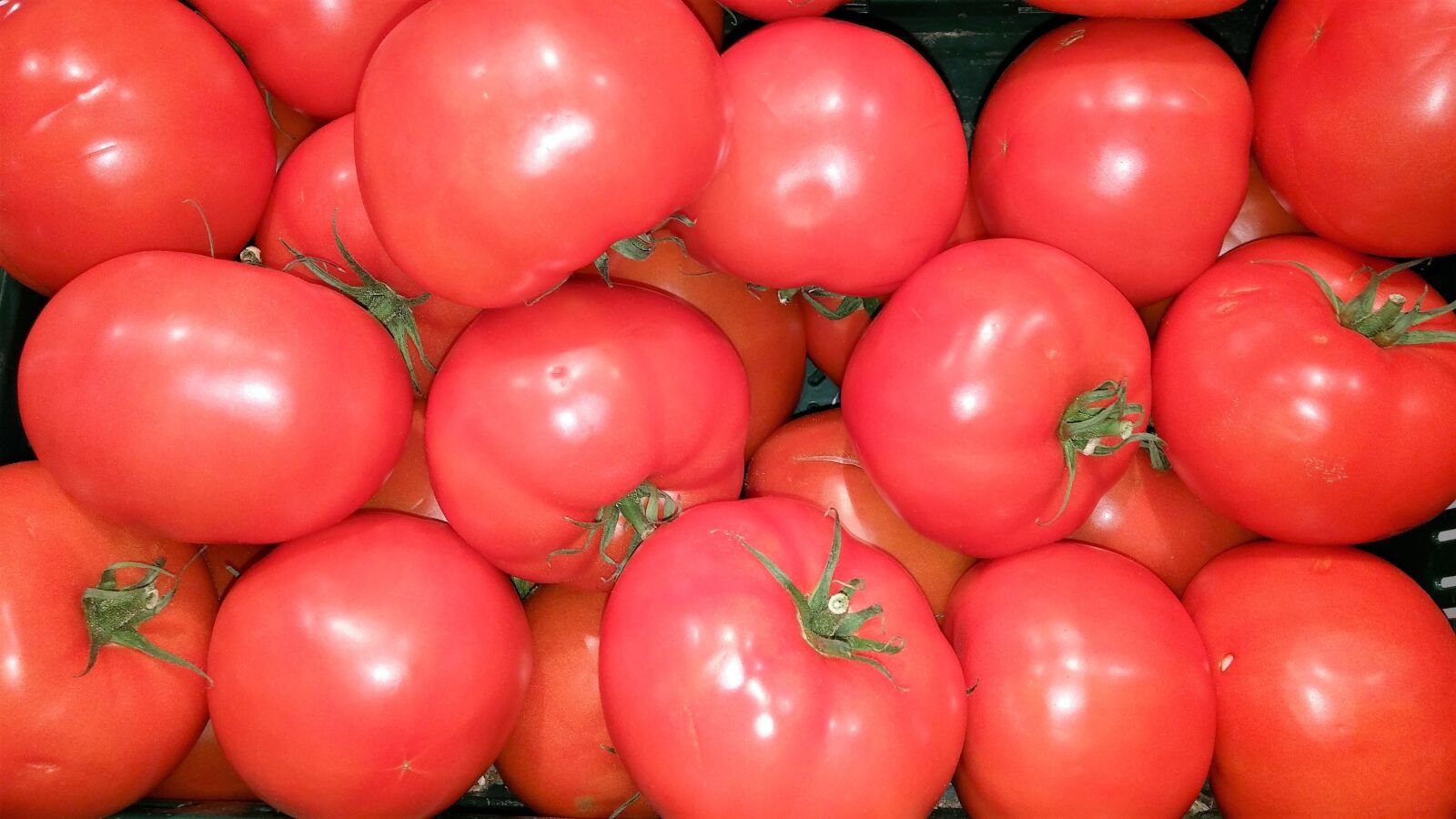 LG D855 sample photo. Tomatoes, fresh, food photography