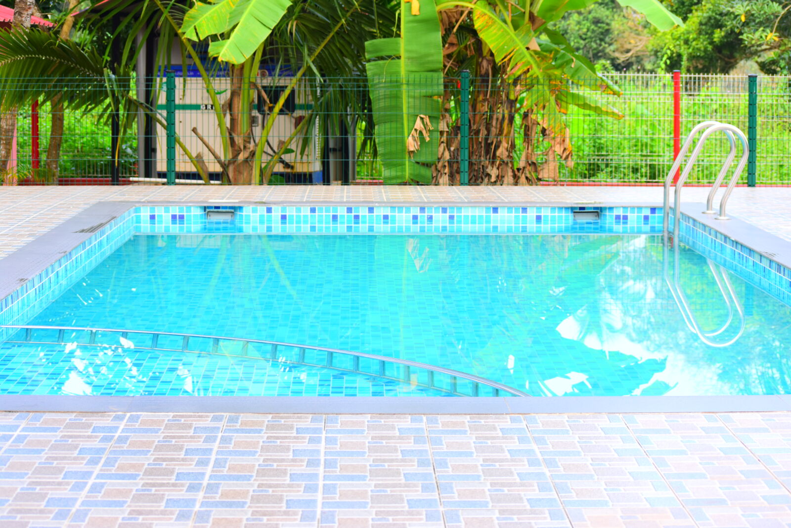Nikon D3400 sample photo. Indoor, swimming, pool, swimming photography