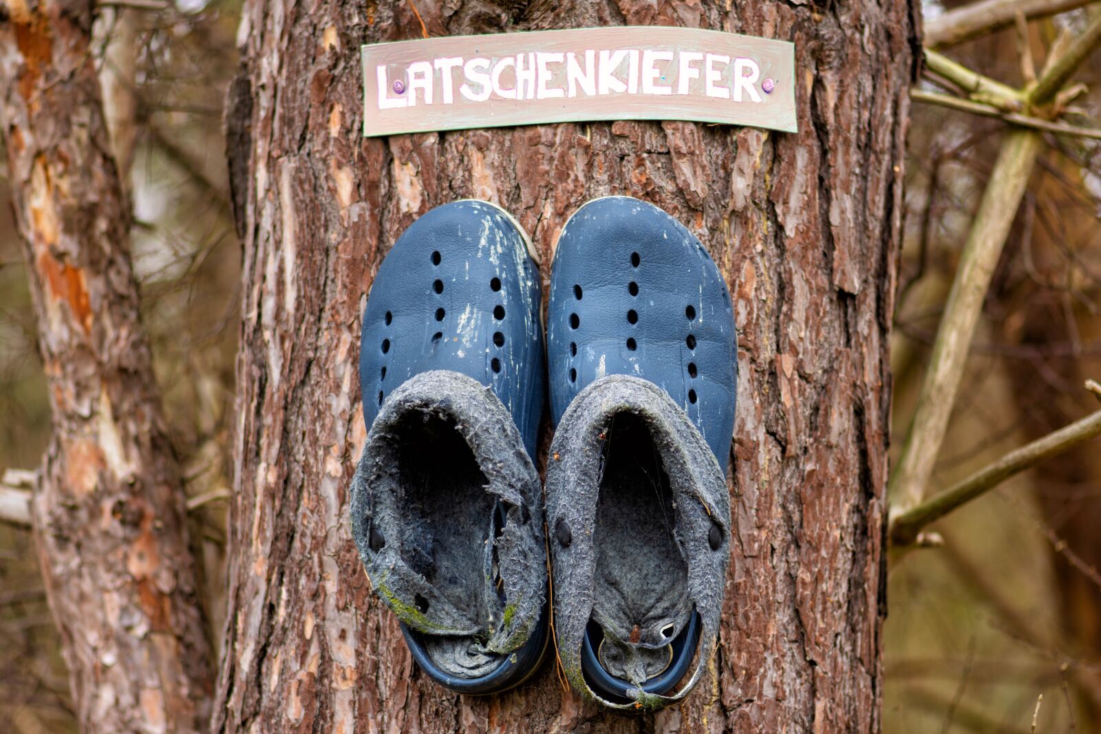 Nikon D7200 sample photo. Pine, shoes, leather photography