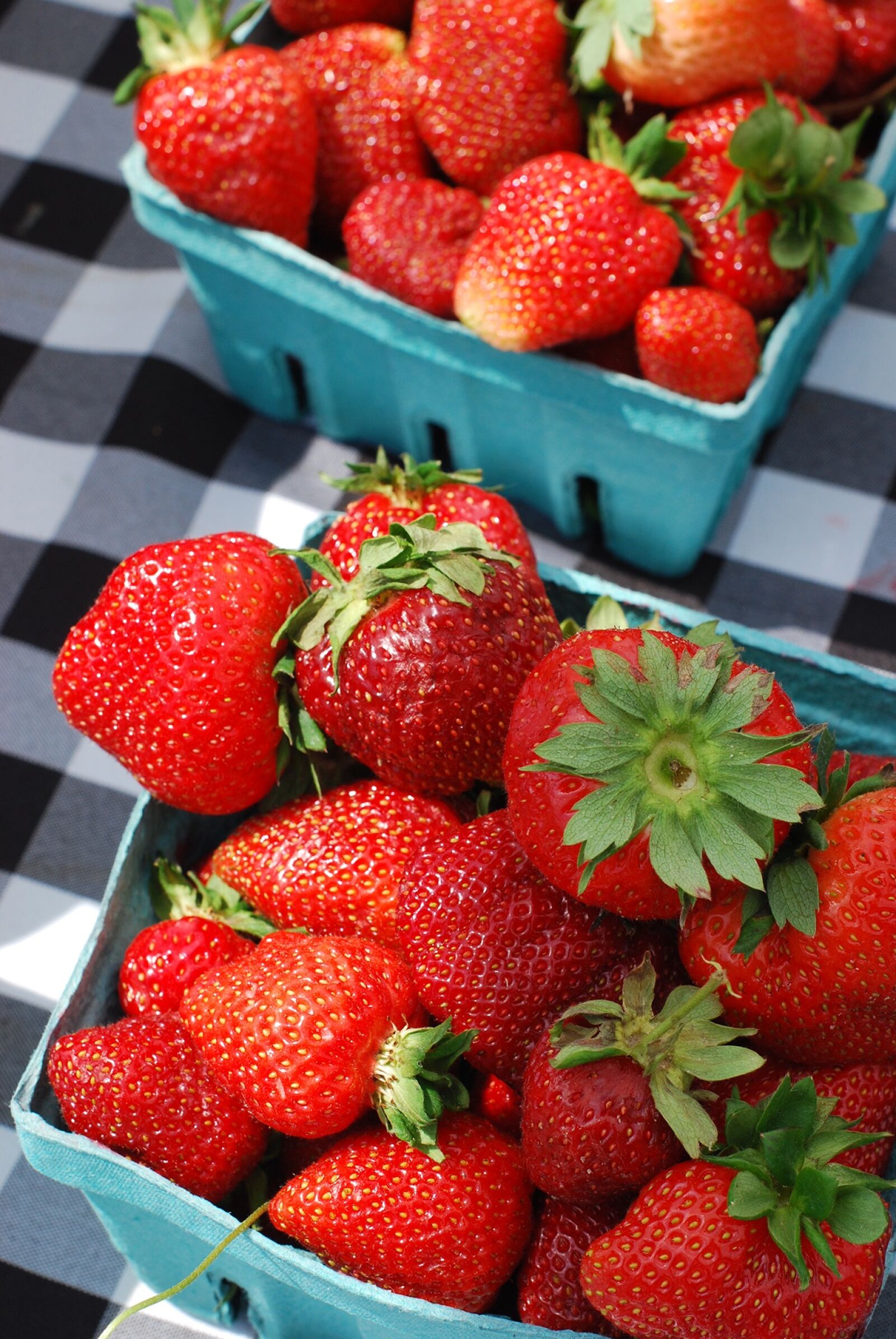 Nikon D40X sample photo. Strawberries, strawberry basket, fruit photography