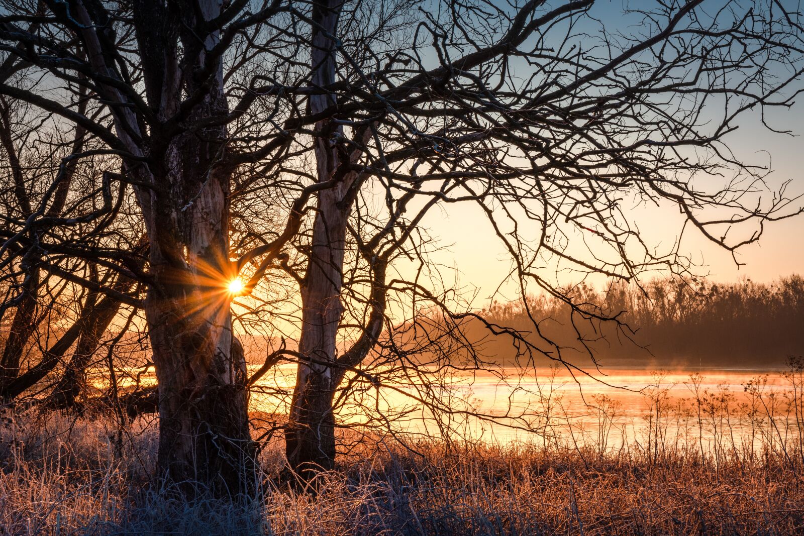 Nikon D7200 sample photo. Sunrise, river, elbe photography