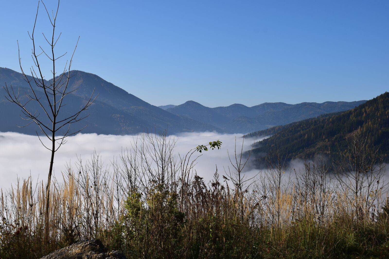 Nikon D3300 sample photo. Mountain, fog, nature photography
