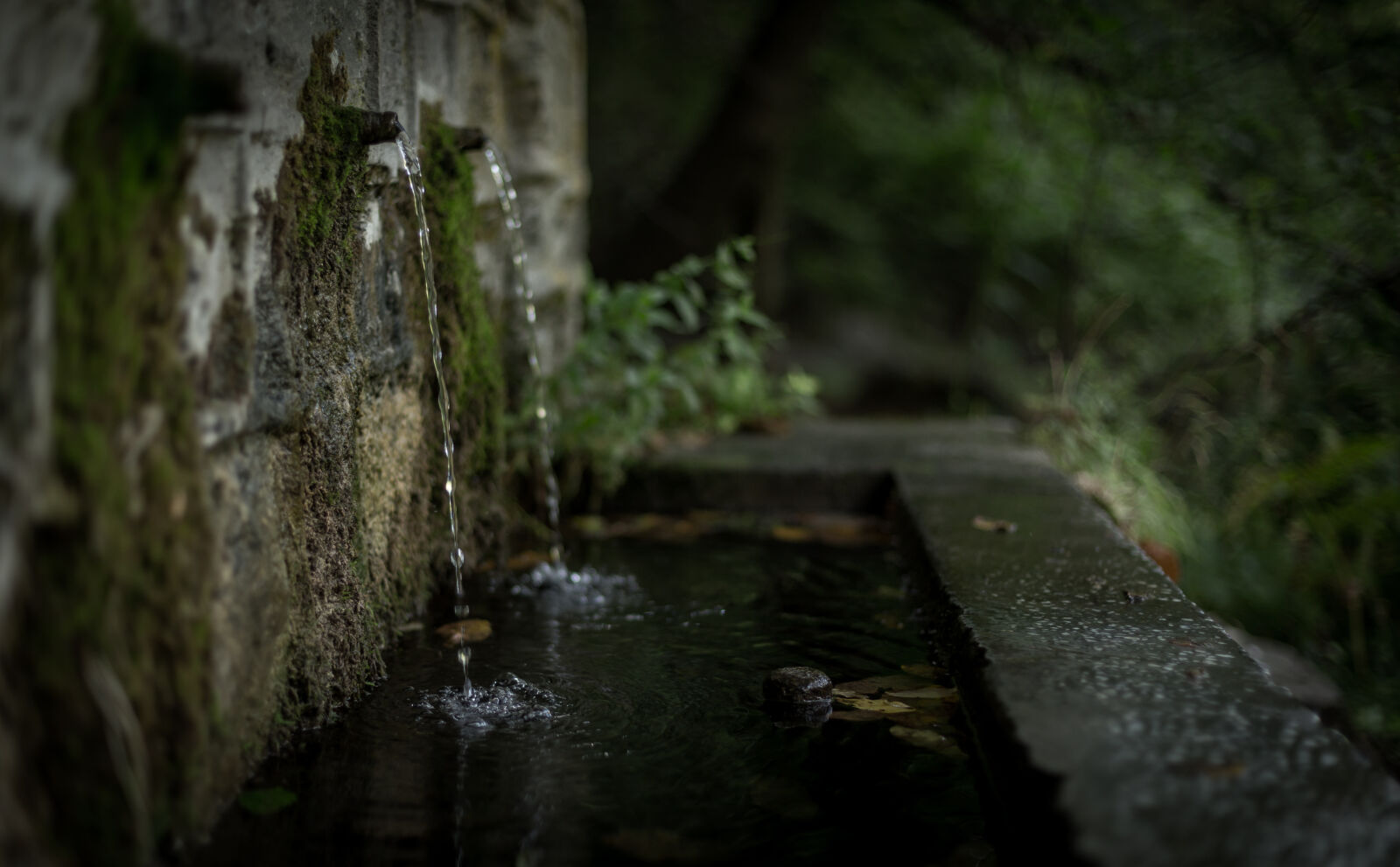 Canon EOS 6D + Canon EF 50mm F1.4 USM sample photo. Water, drop, on, concrete photography