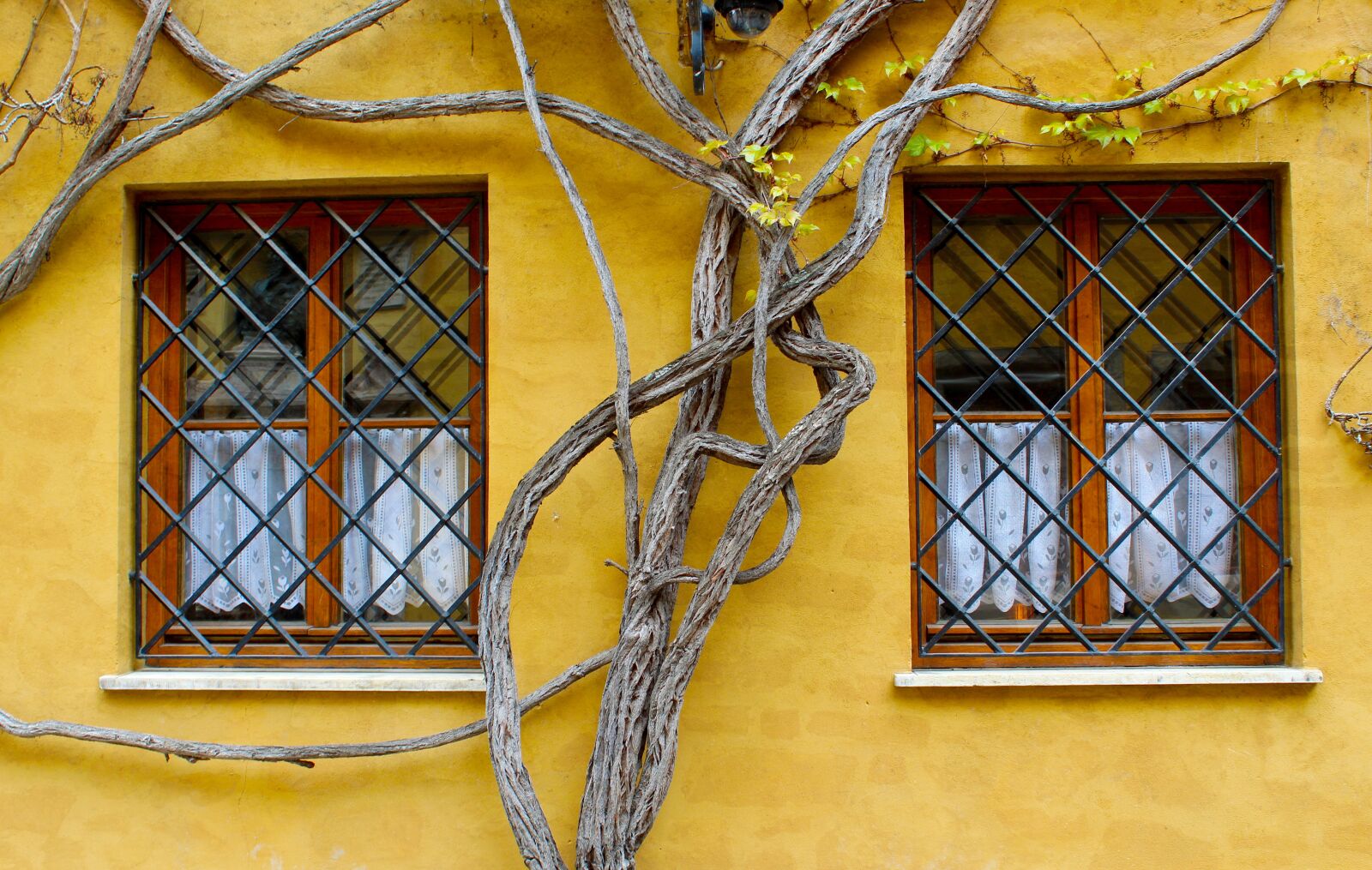 Canon EOS 1300D (EOS Rebel T6 / EOS Kiss X80) sample photo. Augsburg, fuggerei, window photography