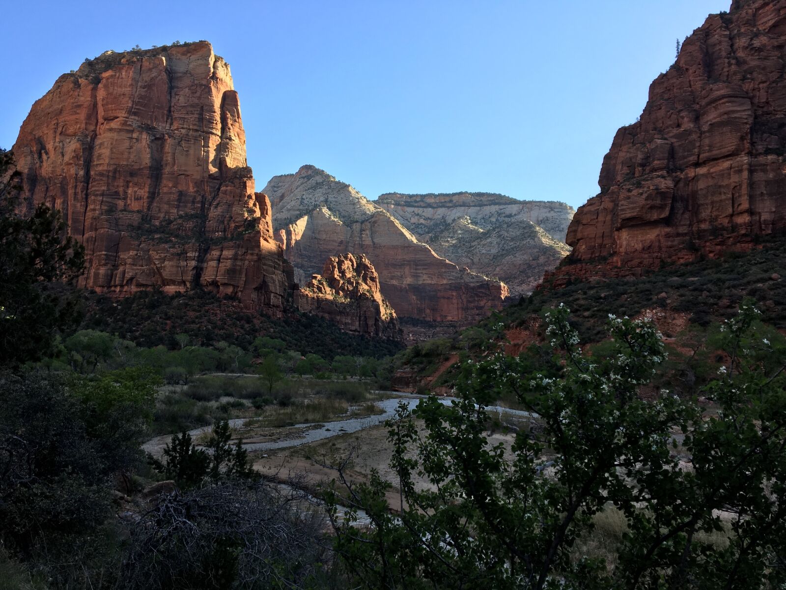 Apple iPhone 6s sample photo. Nature, zion, green photography
