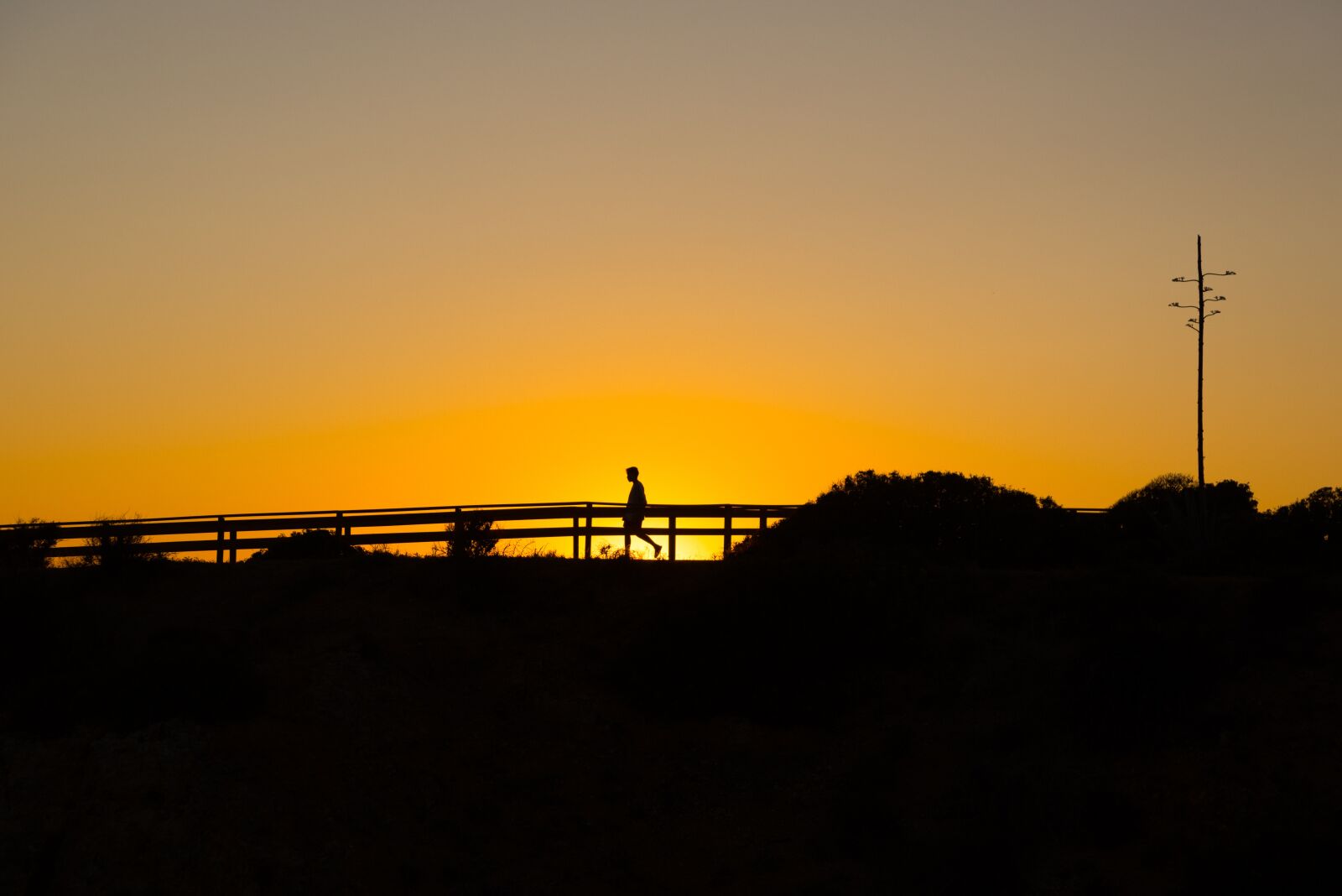 Nikon D810 sample photo. Boy, night, silhouette photography