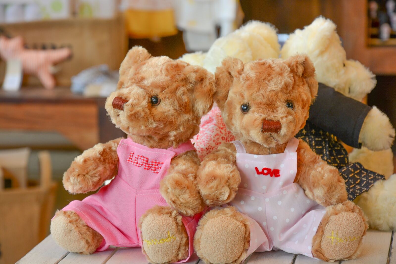 Nikon D7100 sample photo. Toy, doll, bear photography