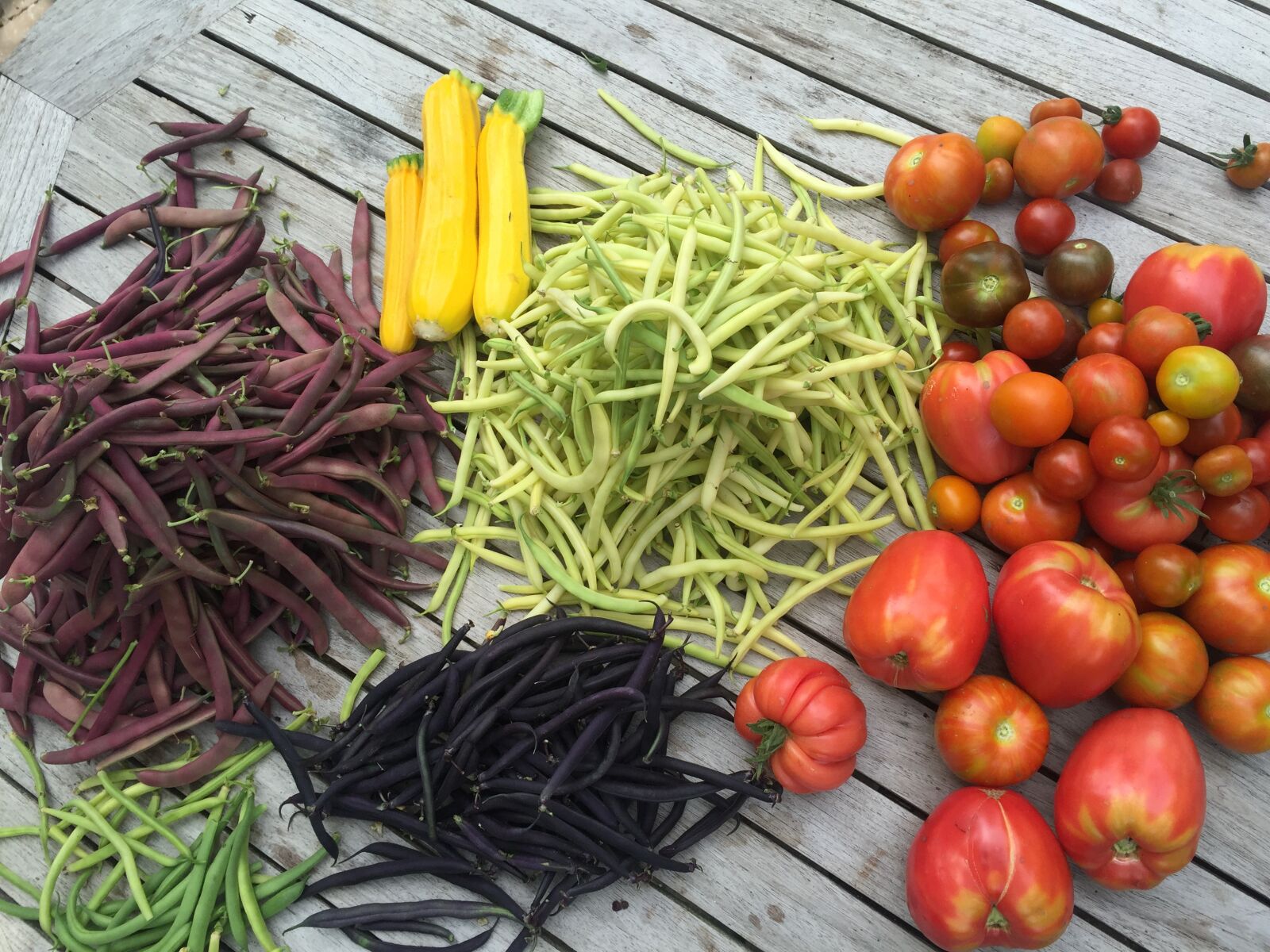 Apple iPhone 6 sample photo. Vegetables, from, garden photography