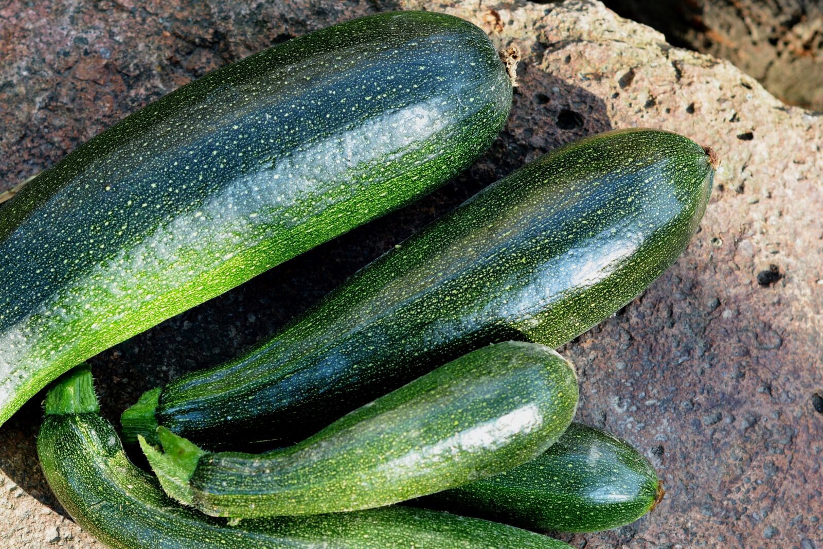 Nikon D5200 sample photo. Courgettes, zucchini, vegetables photography