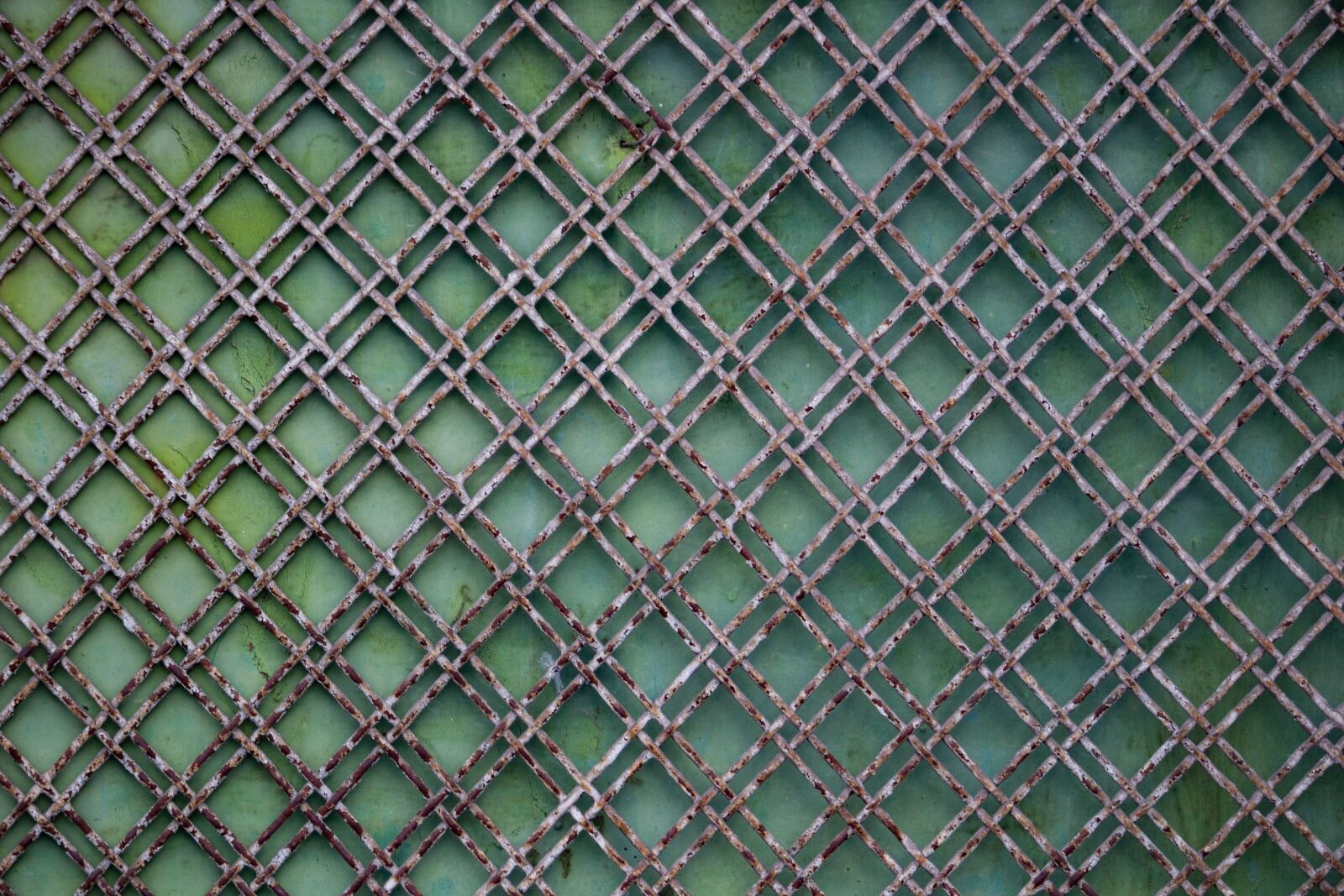 Canon EOS 100D (EOS Rebel SL1 / EOS Kiss X7) sample photo. Fence, fence grid, grid photography