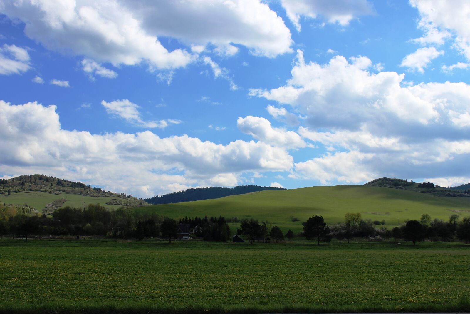 Canon EOS 600D (Rebel EOS T3i / EOS Kiss X5) sample photo. Slovakia, spring, nature photography