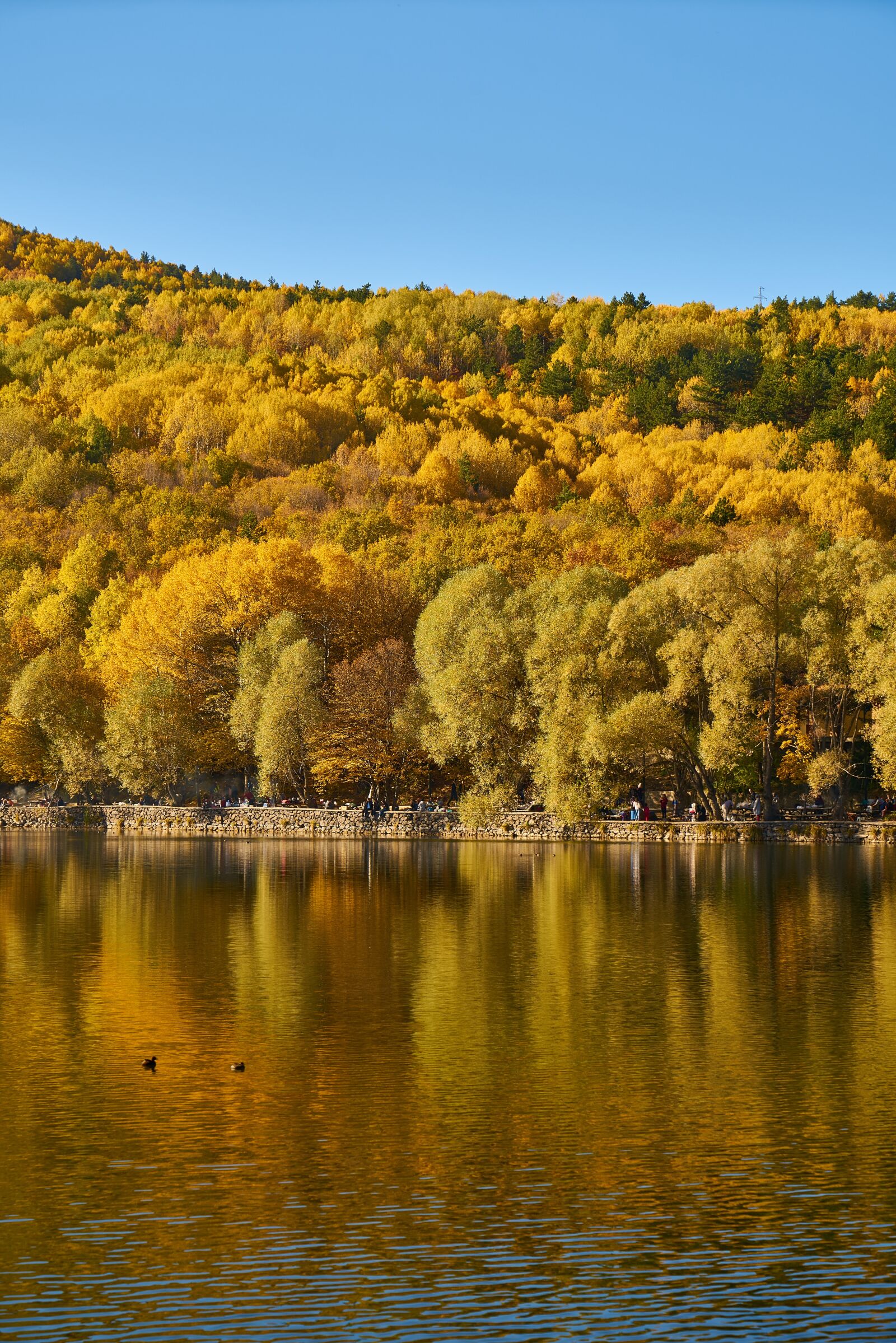 Sony a7R II sample photo. Autumn, trees, lake photography
