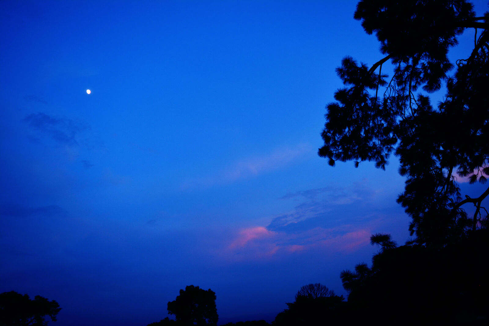 Nikon D5200 sample photo. Clouds, forest, india, moonlight photography